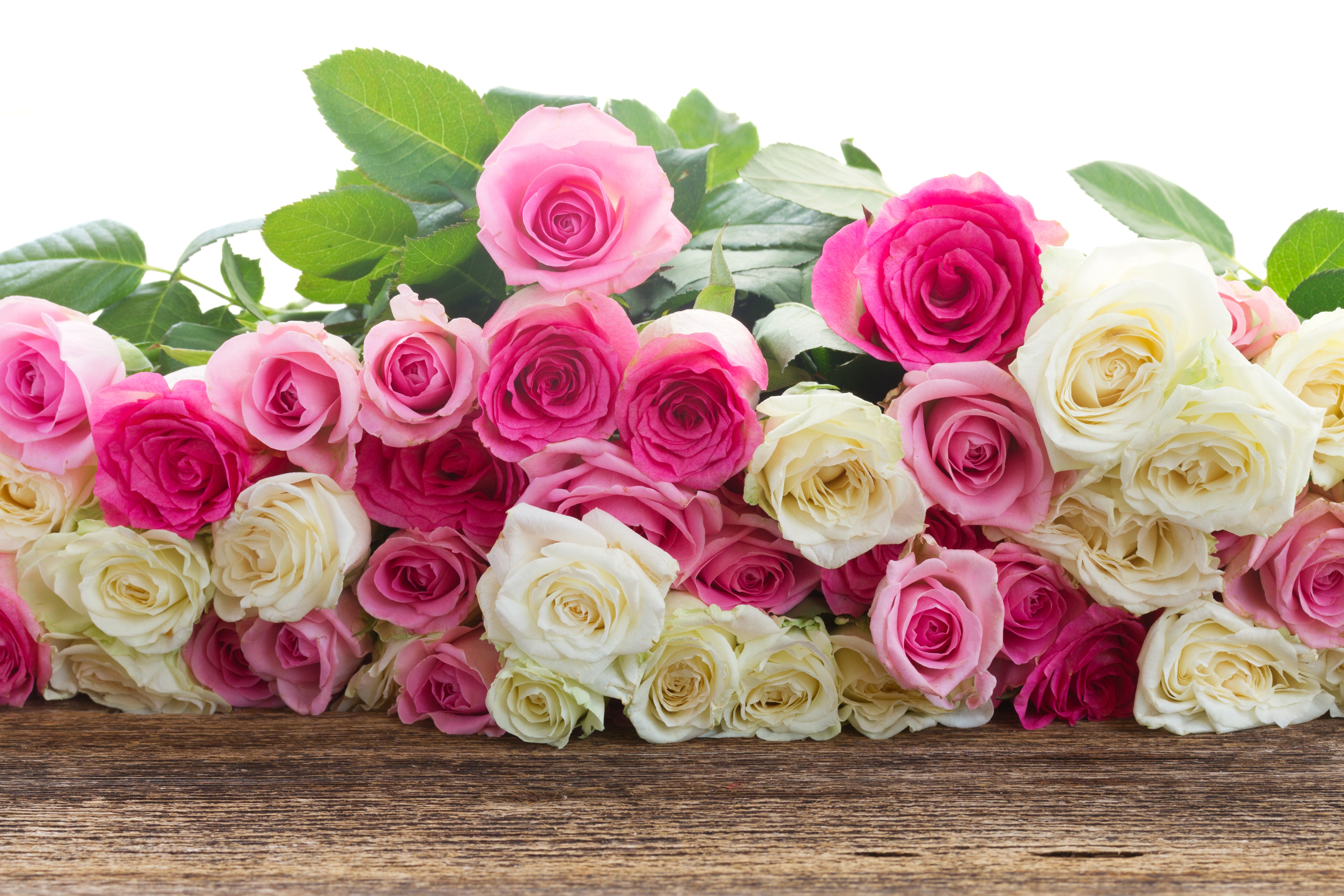 Roses in pink, white, and deep pink on a wooden surface HD Wallpaper