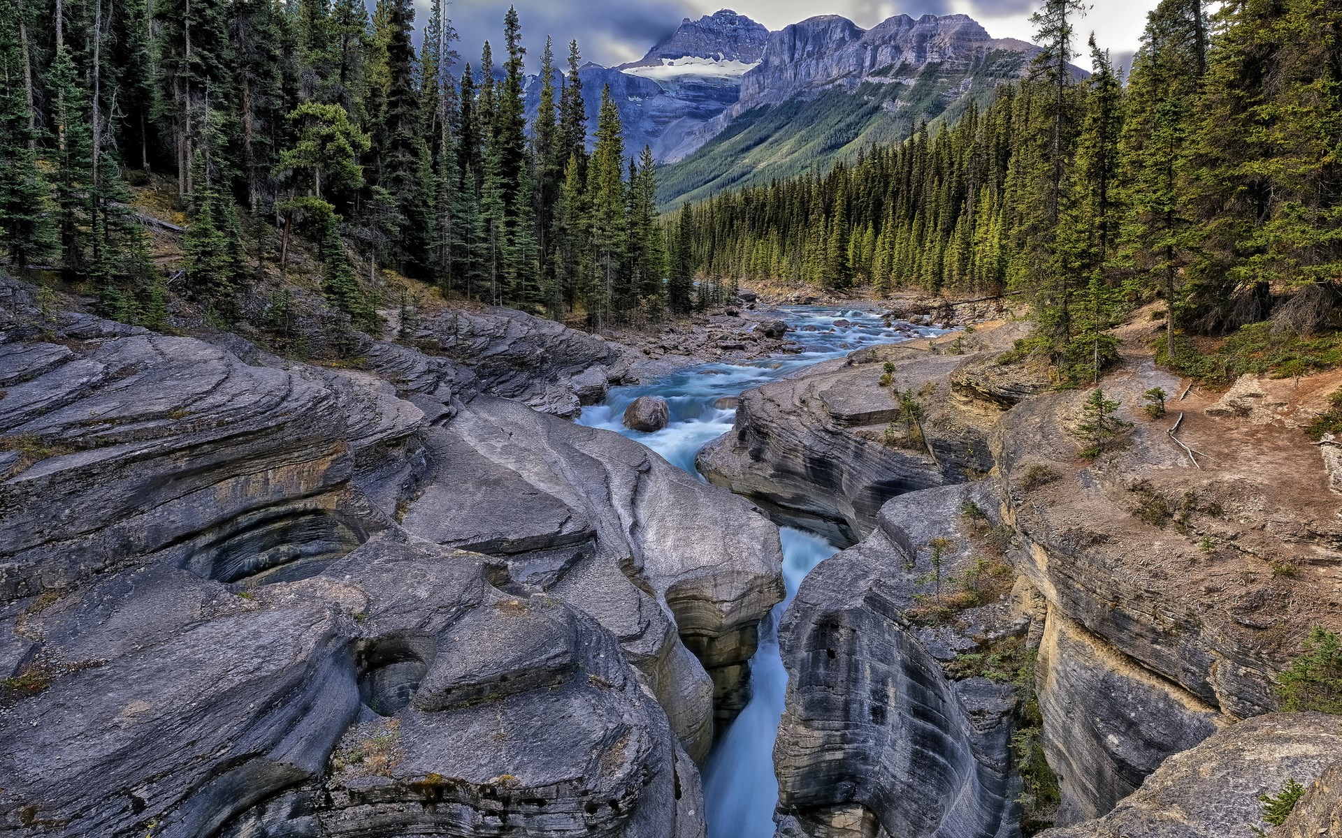 River flowing through a rocky canyon with pine trees and mountains HD Wallpaper