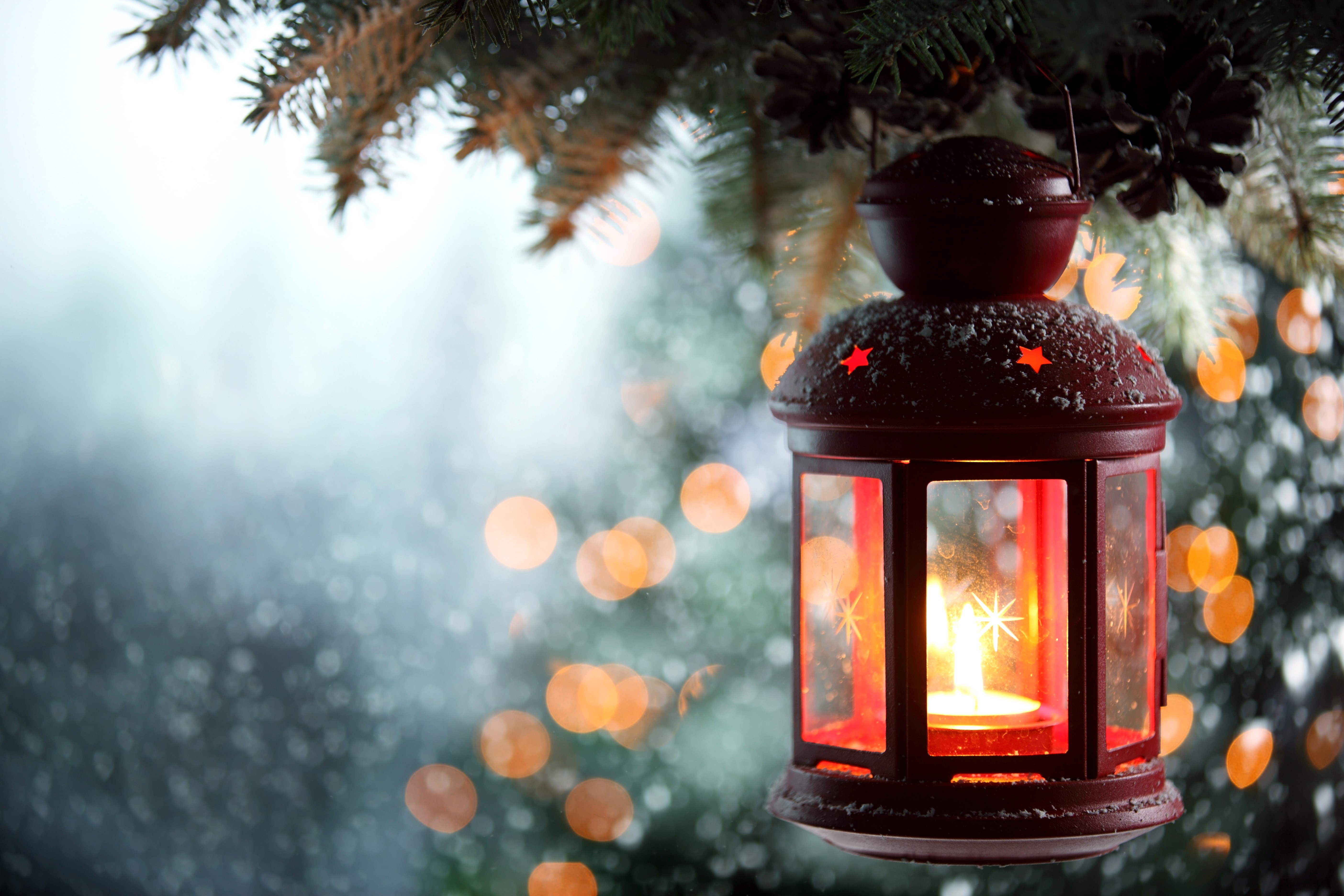 Red lantern with candle on pine branches HD Wallpaper
