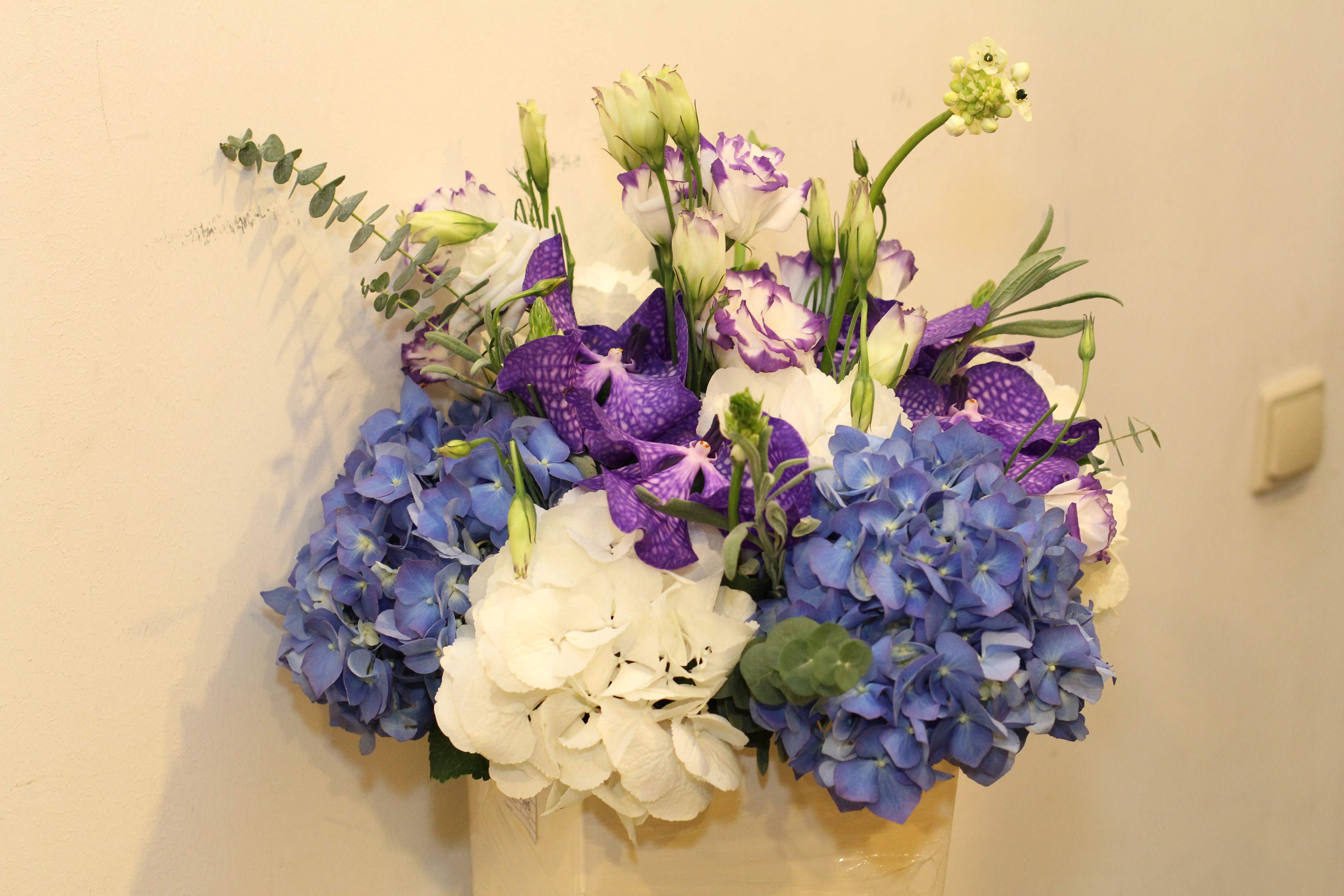 Bouquet of Hydrangeas, Eustoma, and Orchids HD Wallpaper