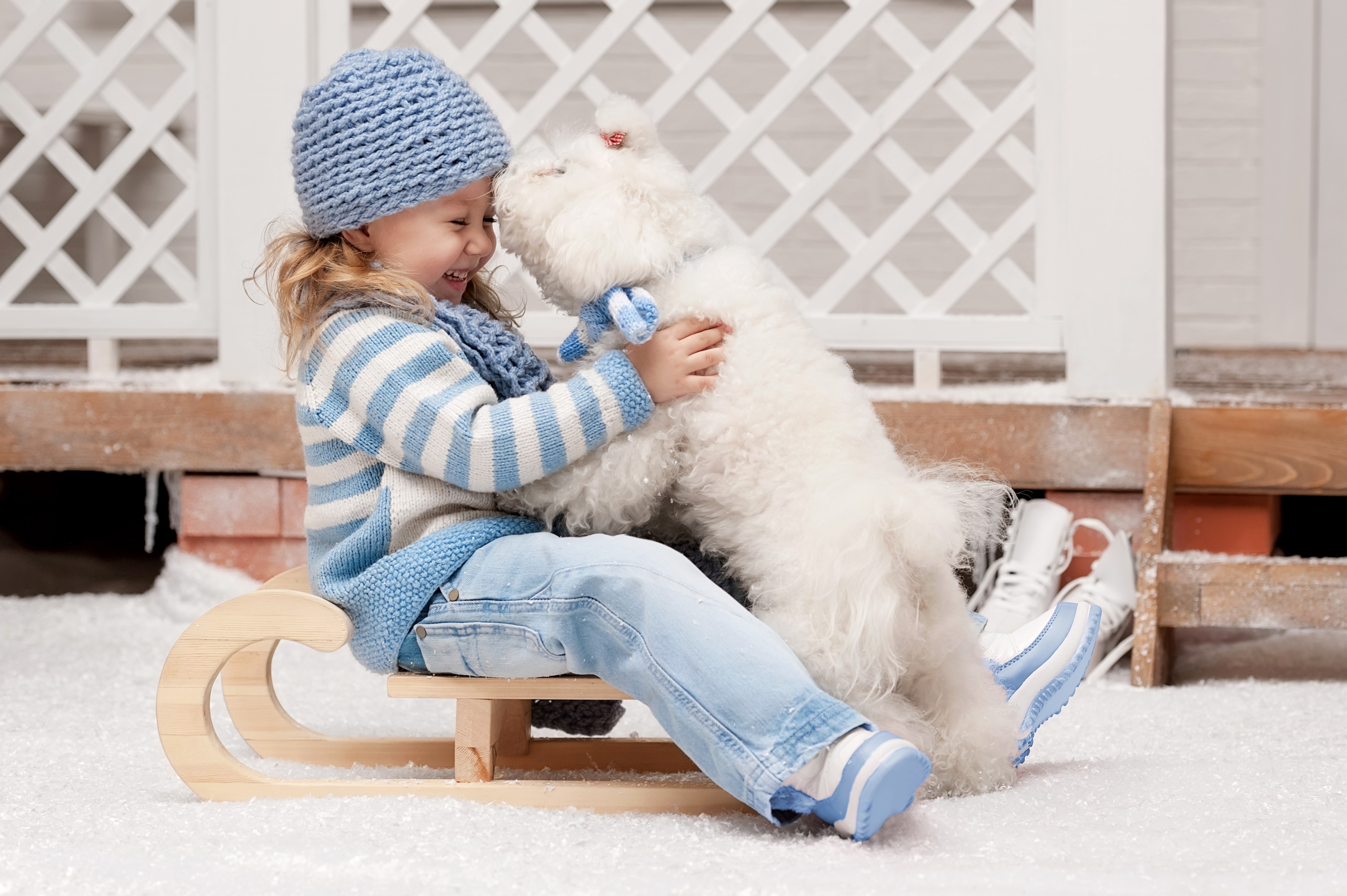 Girl in winter hat hugging a white dog on a sled HD Wallpaper