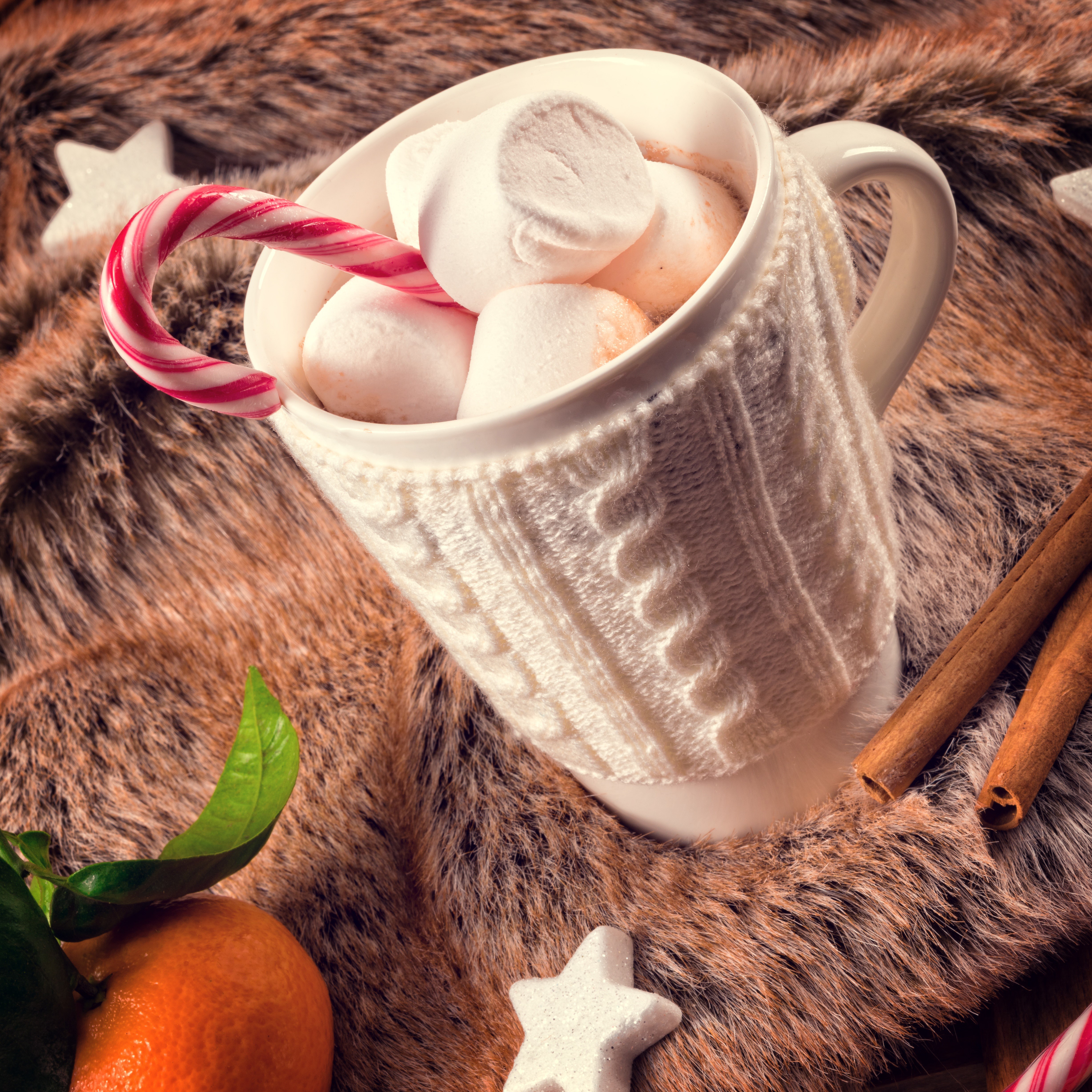 Hot Chocolate with Marshmallows and Candy Cane HD Wallpaper