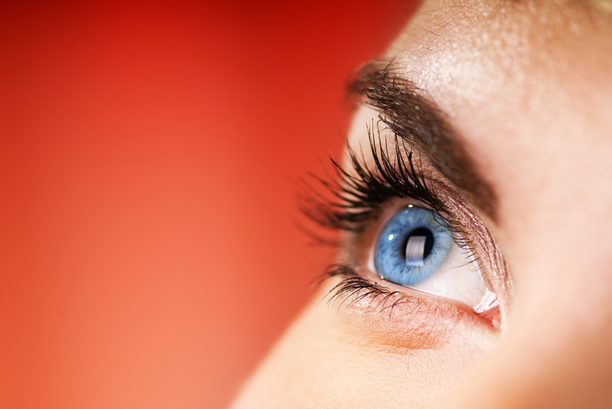Close-up of a blue eye with long eyelashes HD Wallpaper