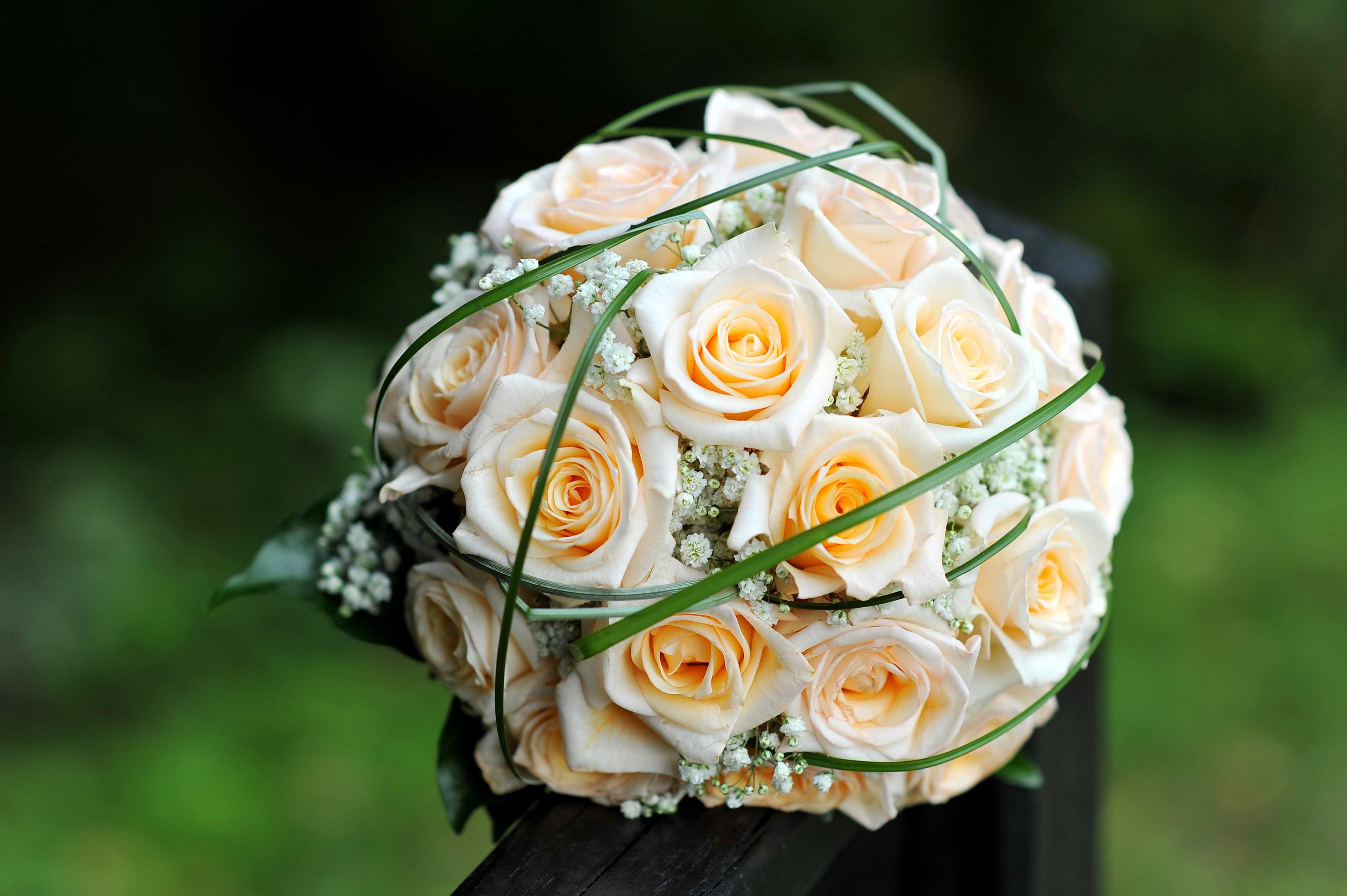 Bouquet of White Roses with Greenery HD Wallpaper