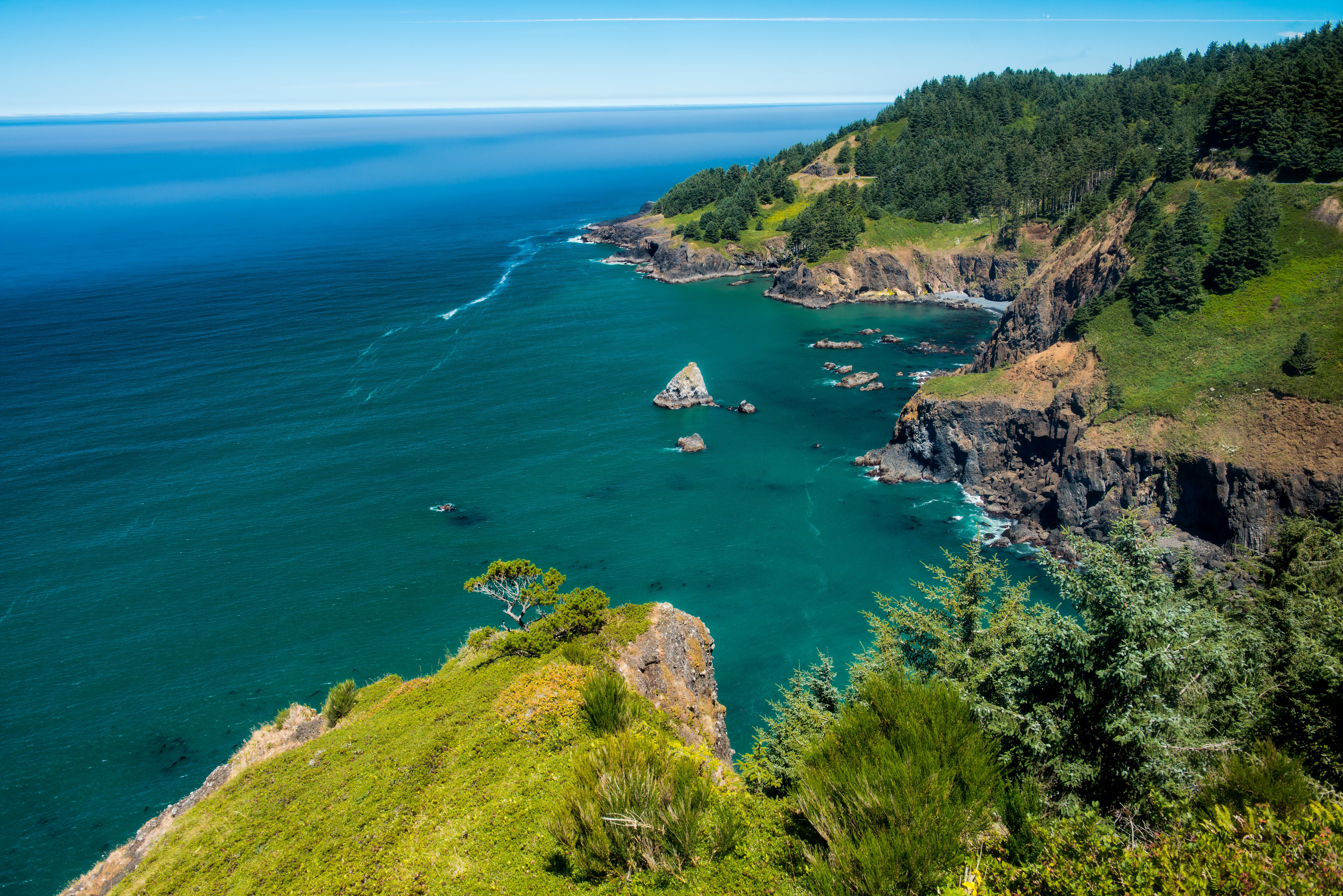 Oregon Coastline with Rocky Outcrops and Forest HD Wallpaper