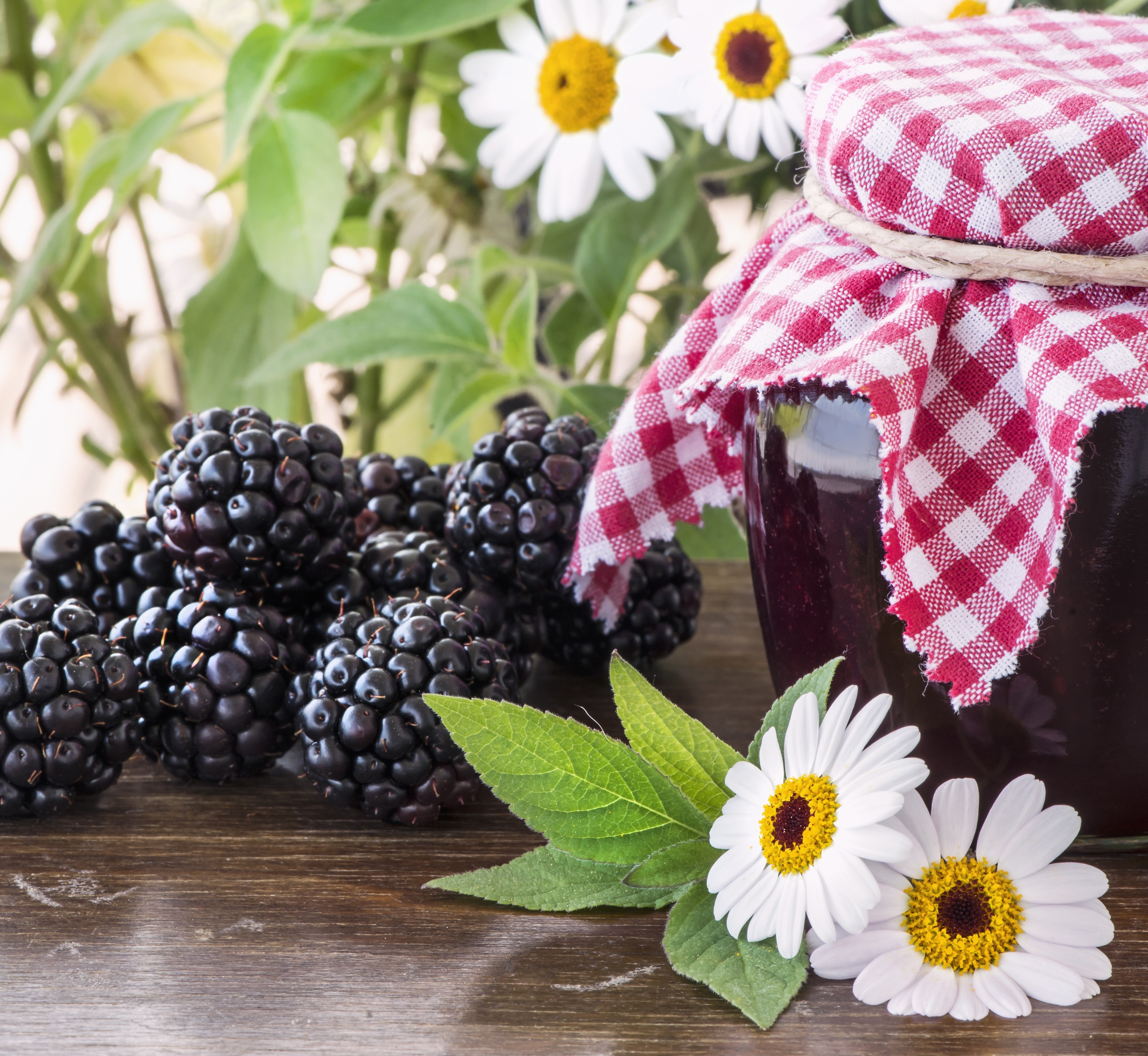Blackberry Jam in a Jar with Blackberries and Daisies HD Wallpaper