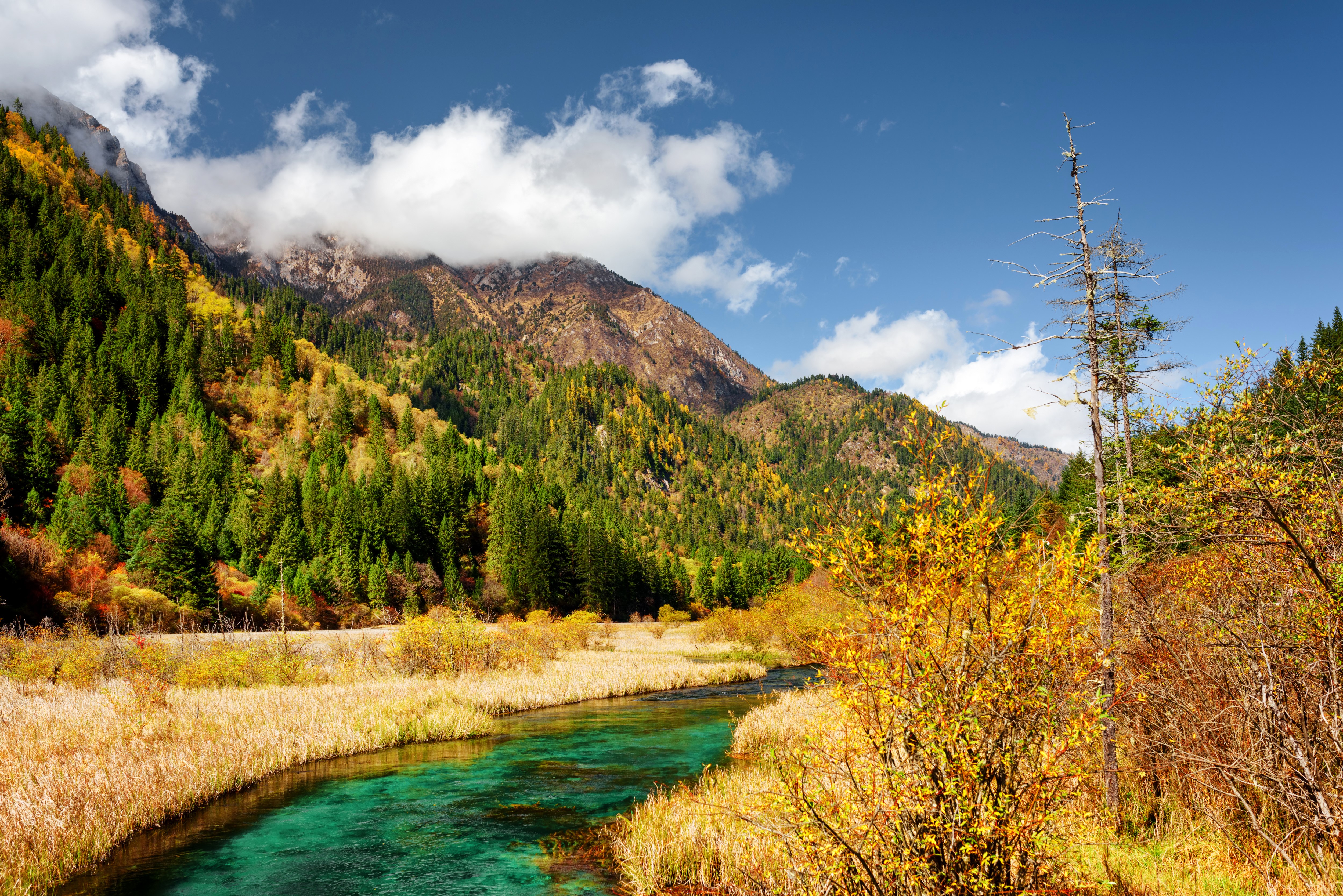 Autumn Scenery of Jiuzhaigou Park, China HD Wallpaper
