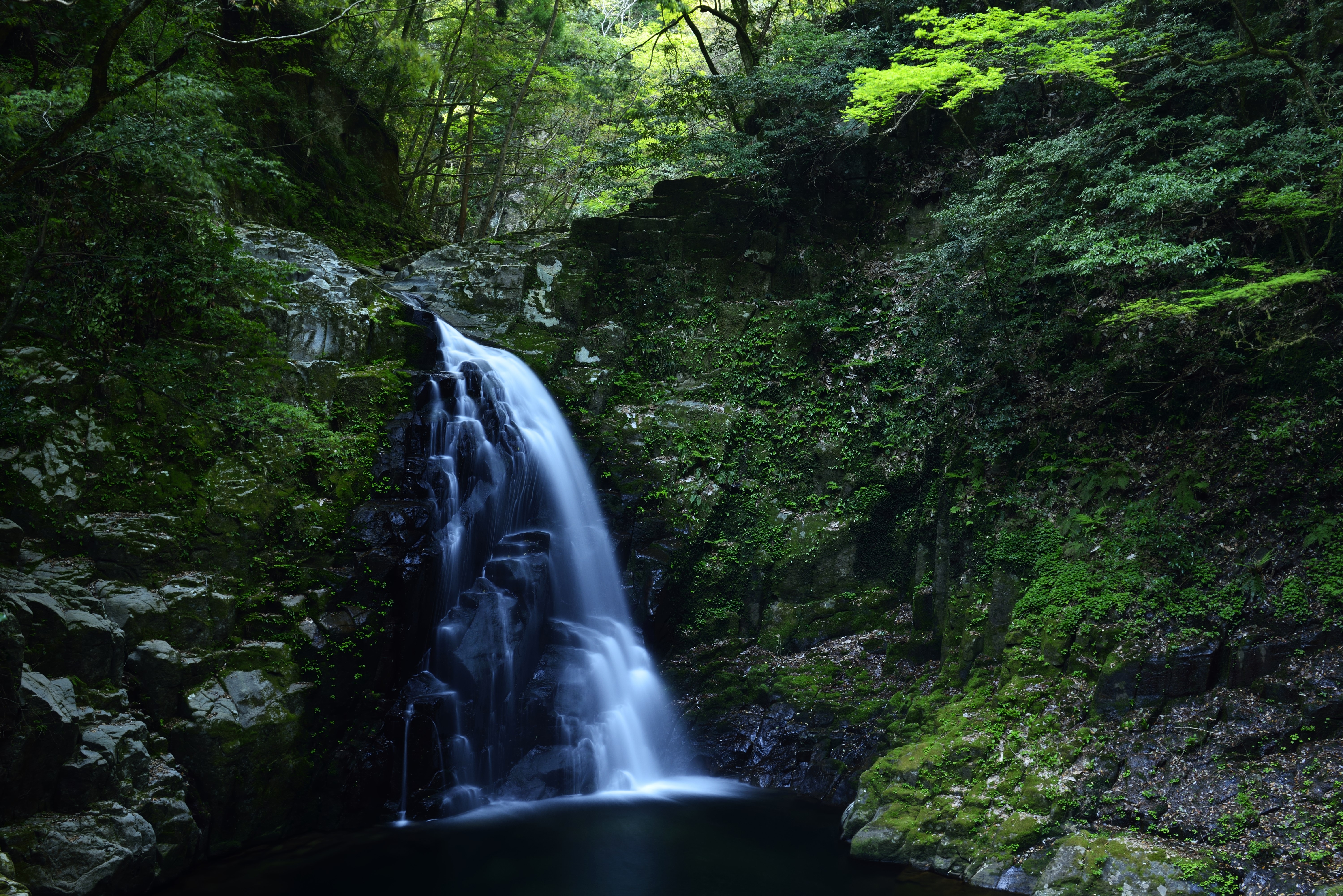 Waterfall cascading over mossy rocks in a forest HD Wallpaper