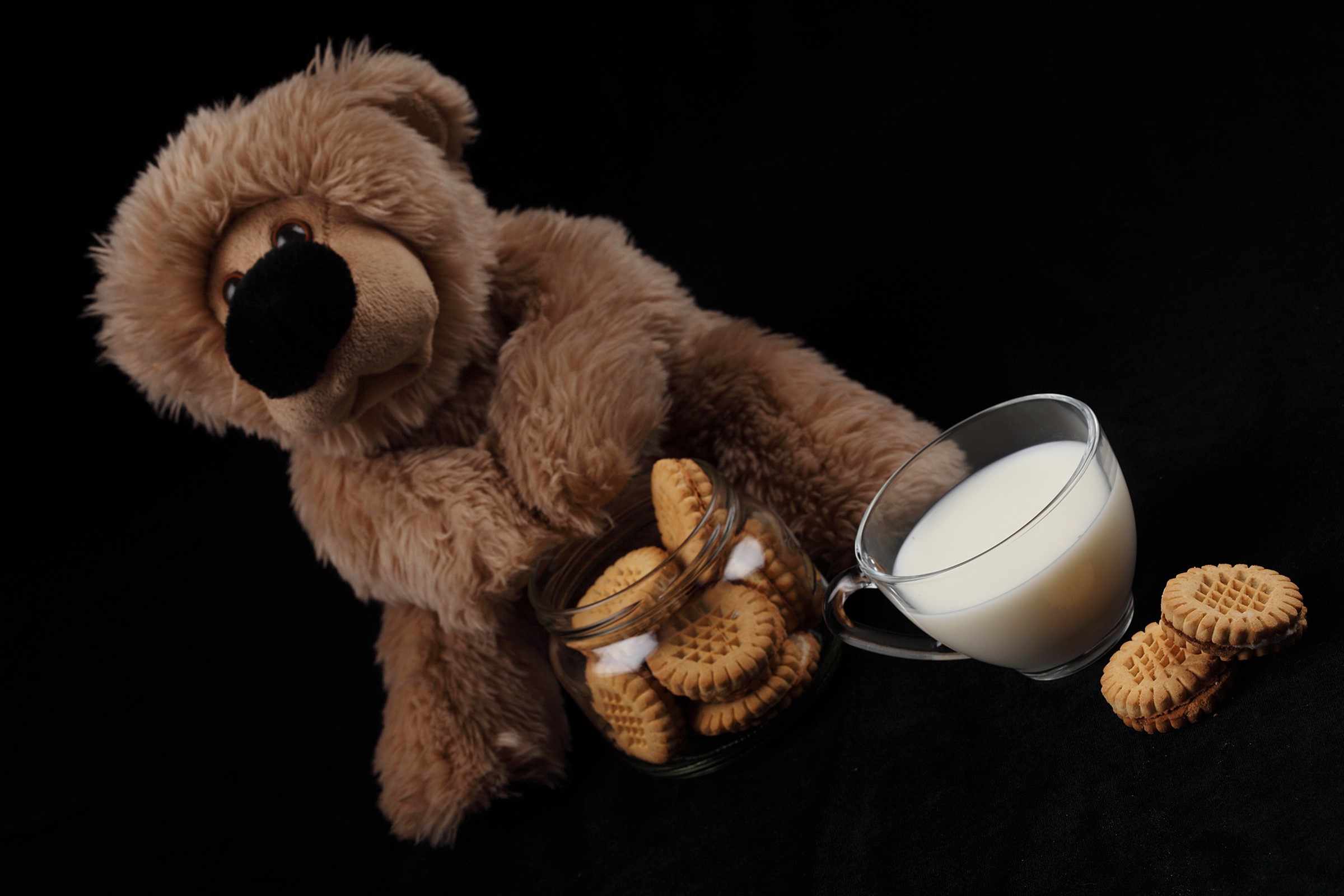 Teddy bear with cookies and milk HD Wallpaper