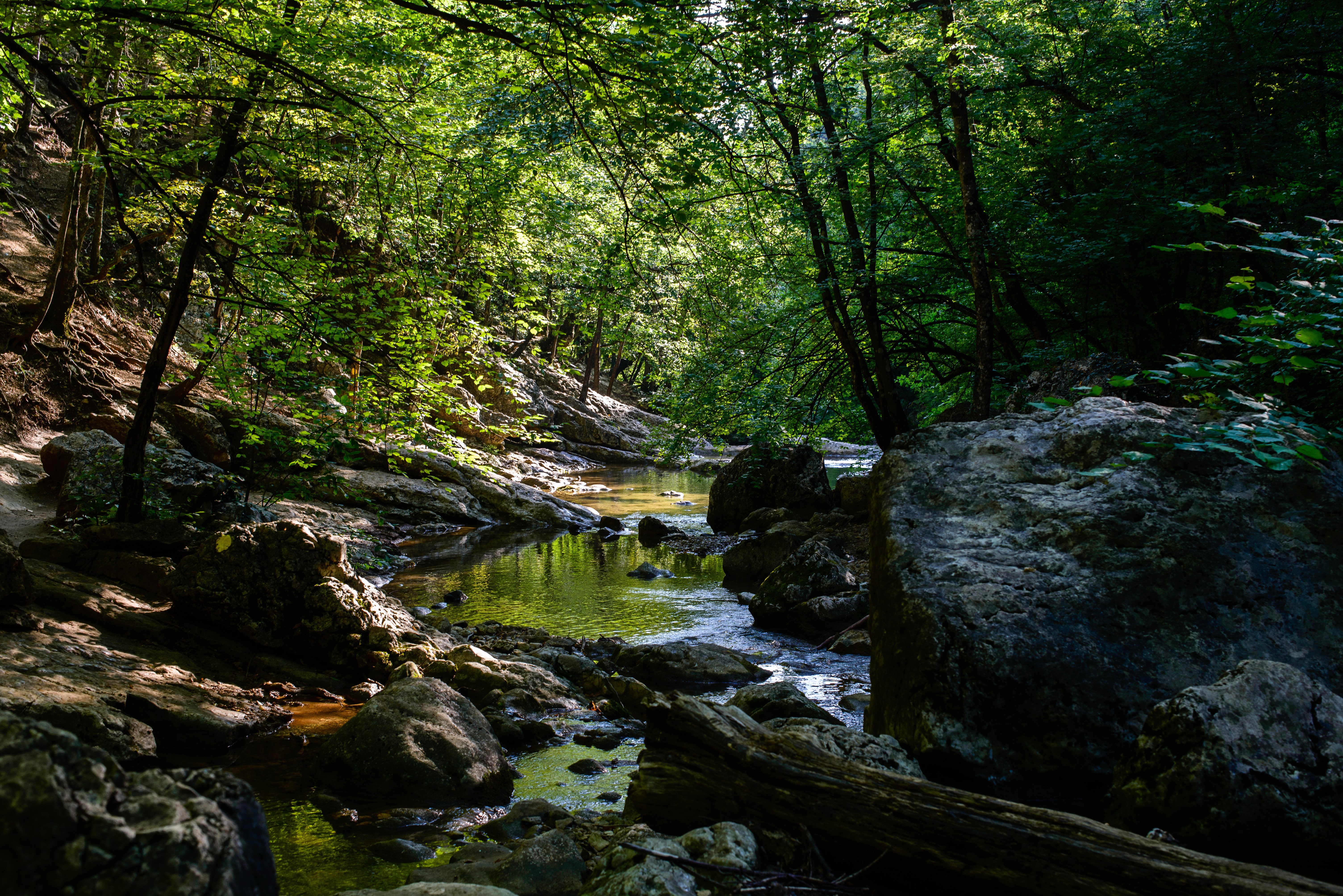 Stream flowing through a rocky forest in Crimea, Russia HD Wallpaper