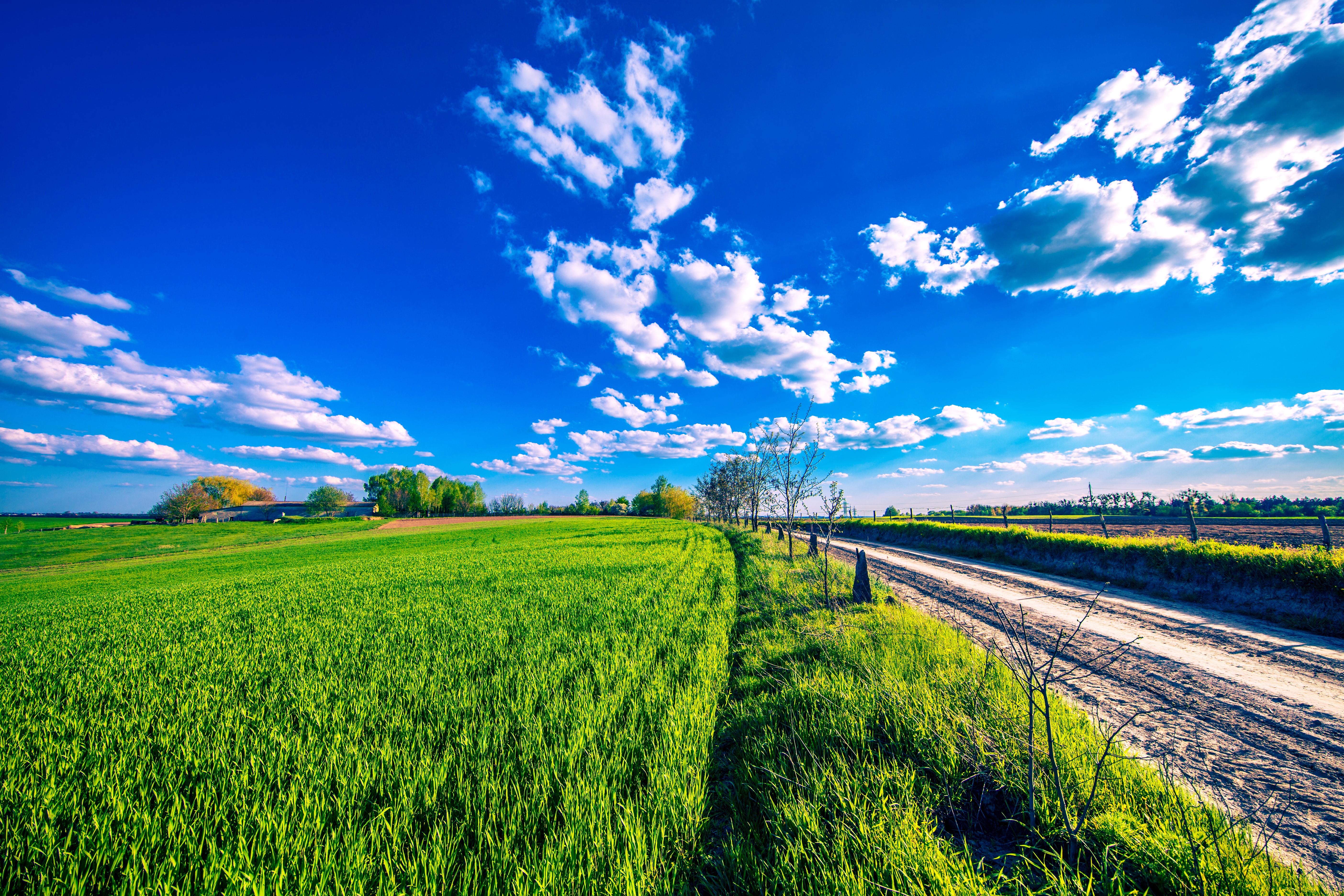 Green fields and a dirt road under a blue sky with clouds HD Wallpaper