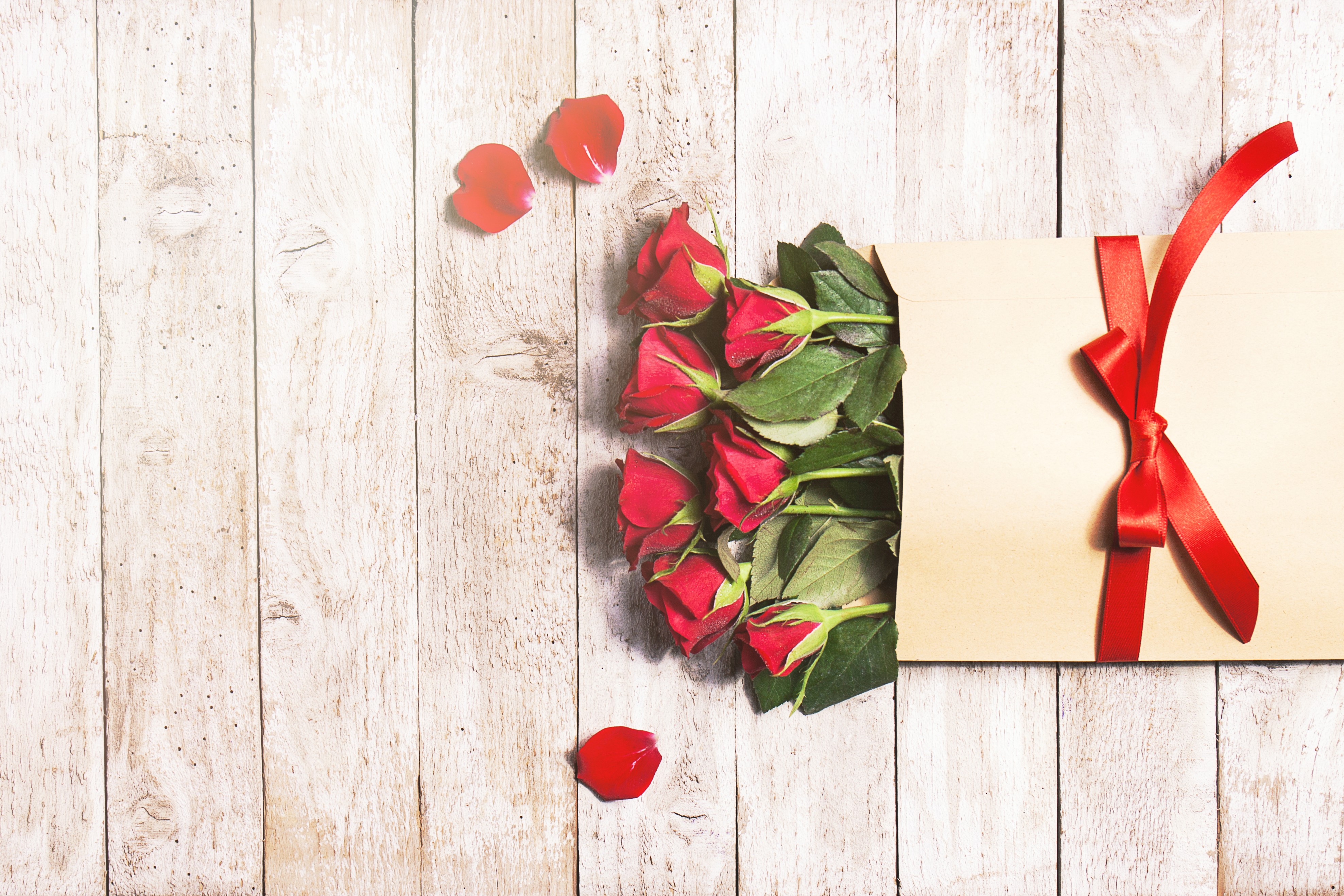 Red Roses with Red Bow on Wood Planks HD Wallpaper