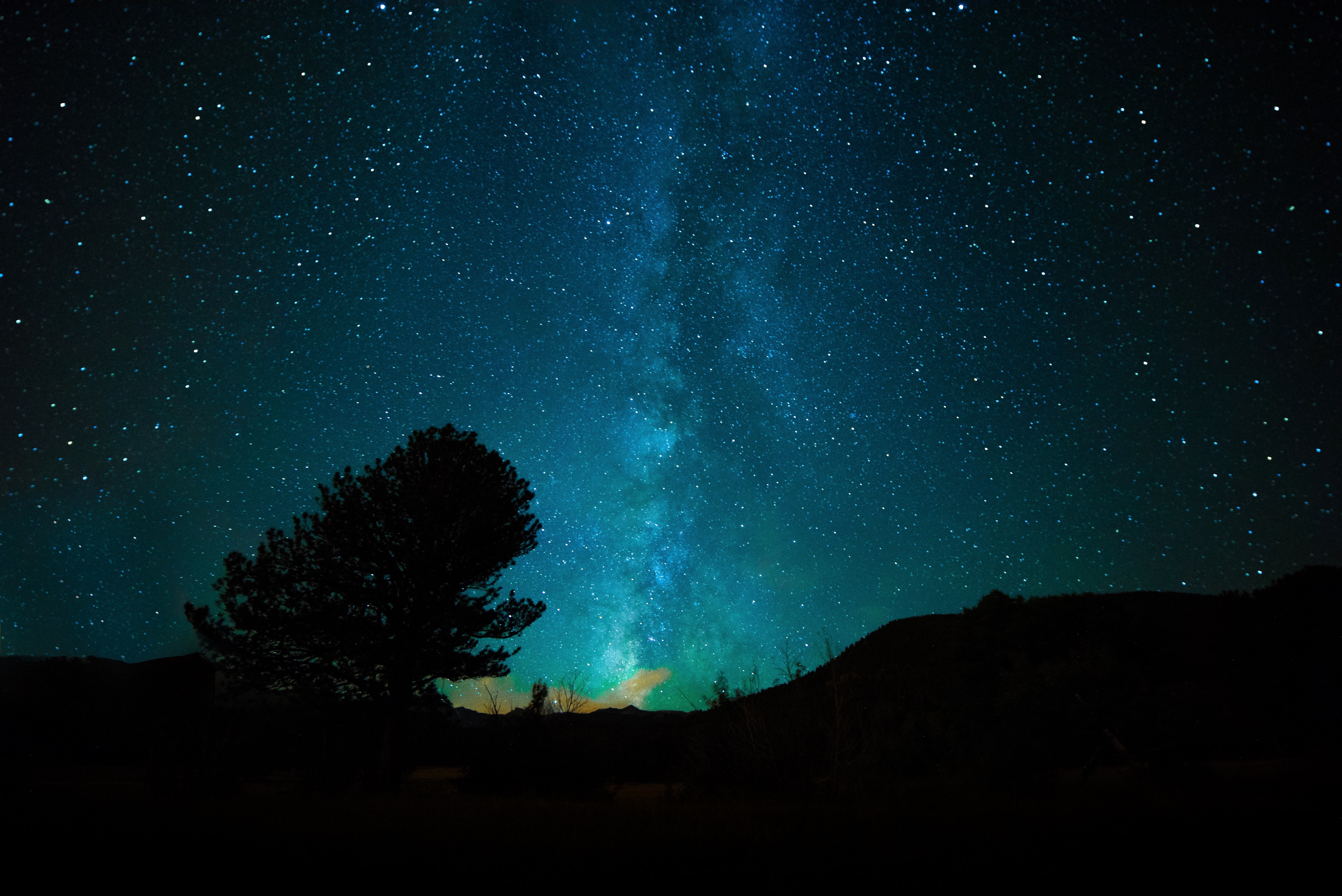 4K Night Sky with Milky Way and Silhouette Trees HD Wallpaper