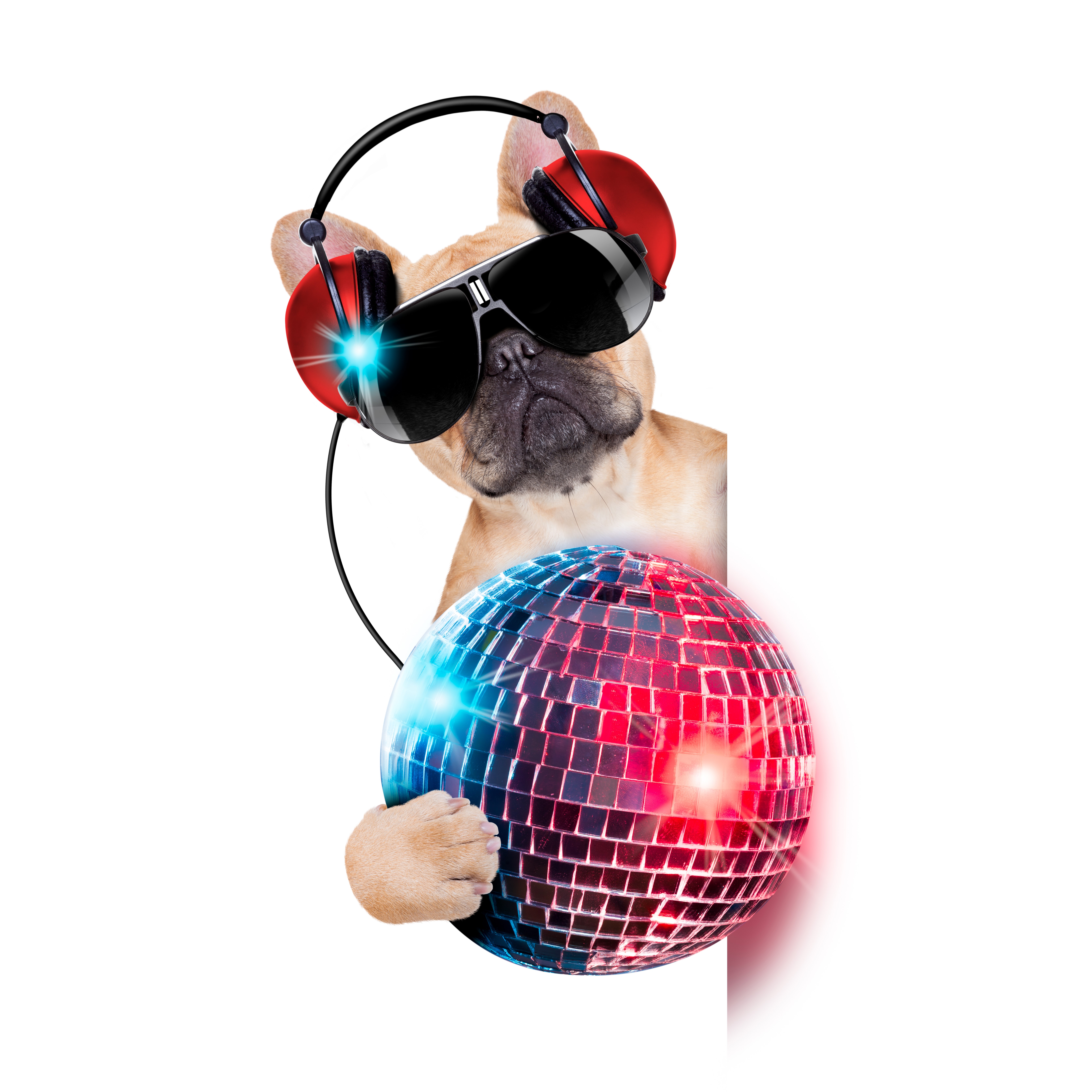 French Bulldog DJ with Headphones and Disco Ball HD Wallpaper