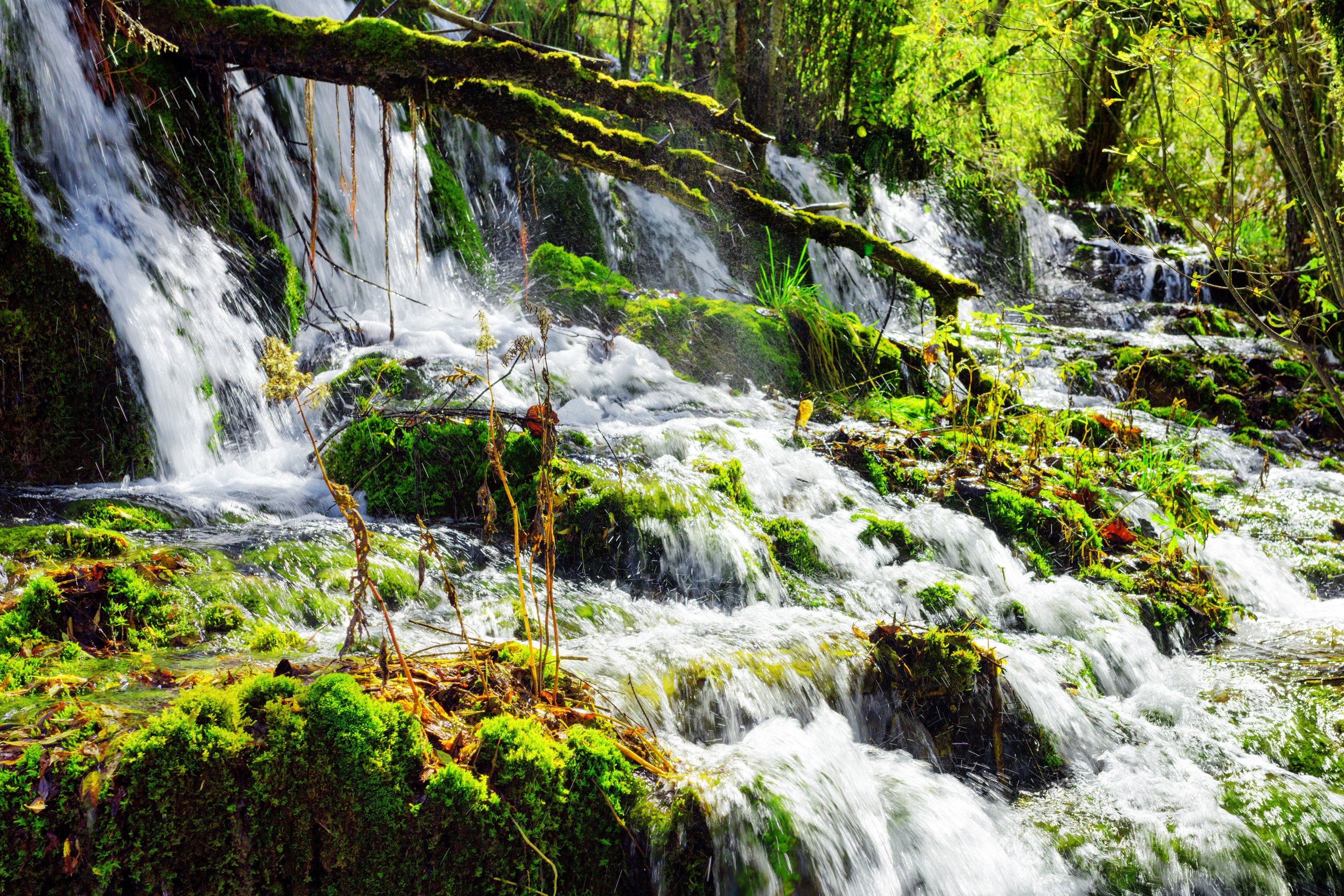 Waterfalls and moss in Jiuzhaigou National Park, China HD Wallpaper