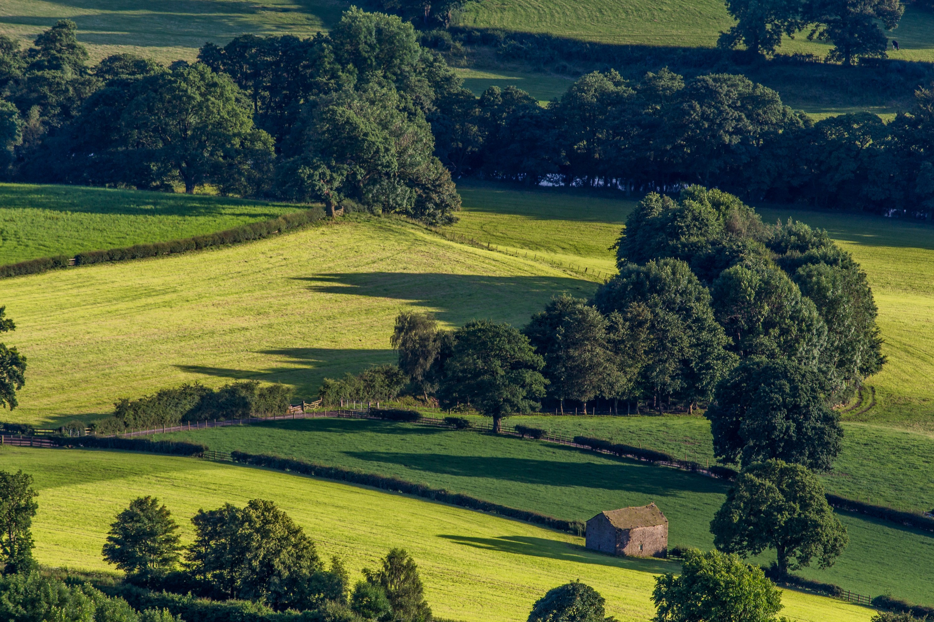 Rolling green fields and trees in the Peak District HD Wallpaper