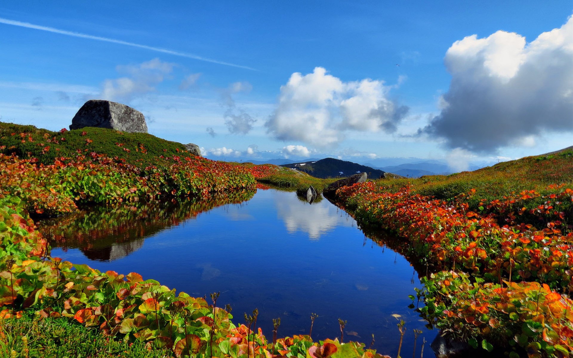 Mountain pond with autumn foliage and blue sky HD Wallpaper