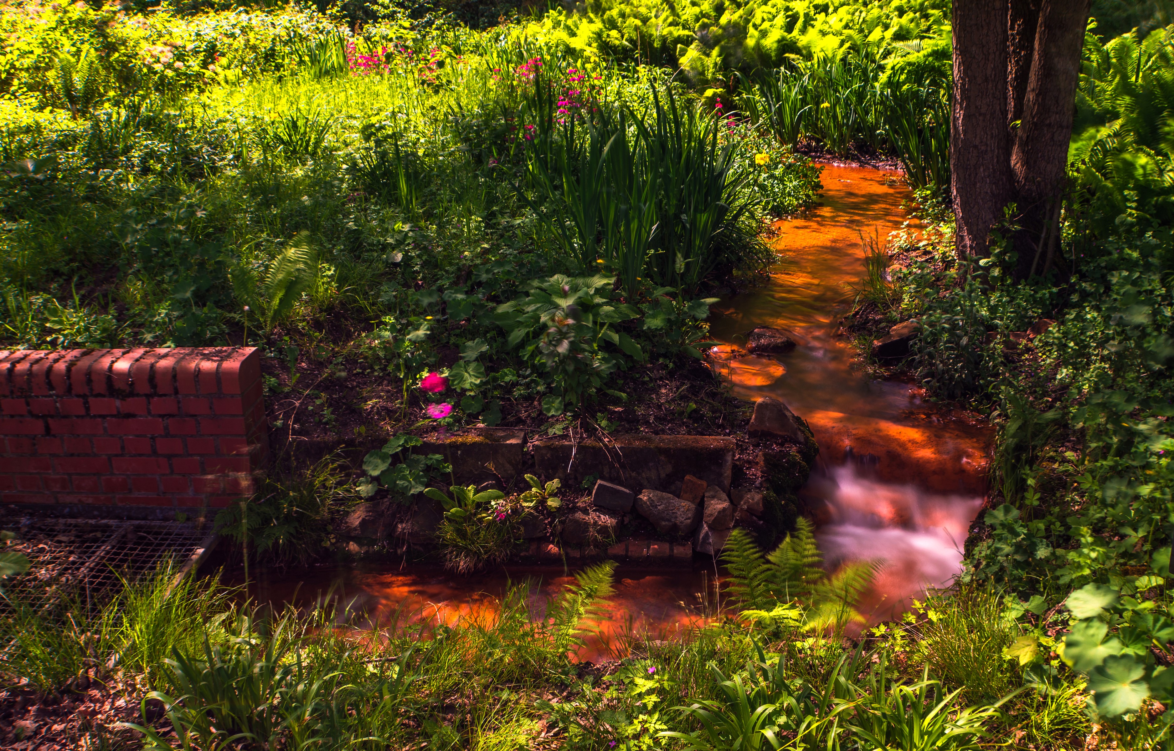 Stream flowing through Romberg Park in Dortmund, Germany HD Wallpaper
