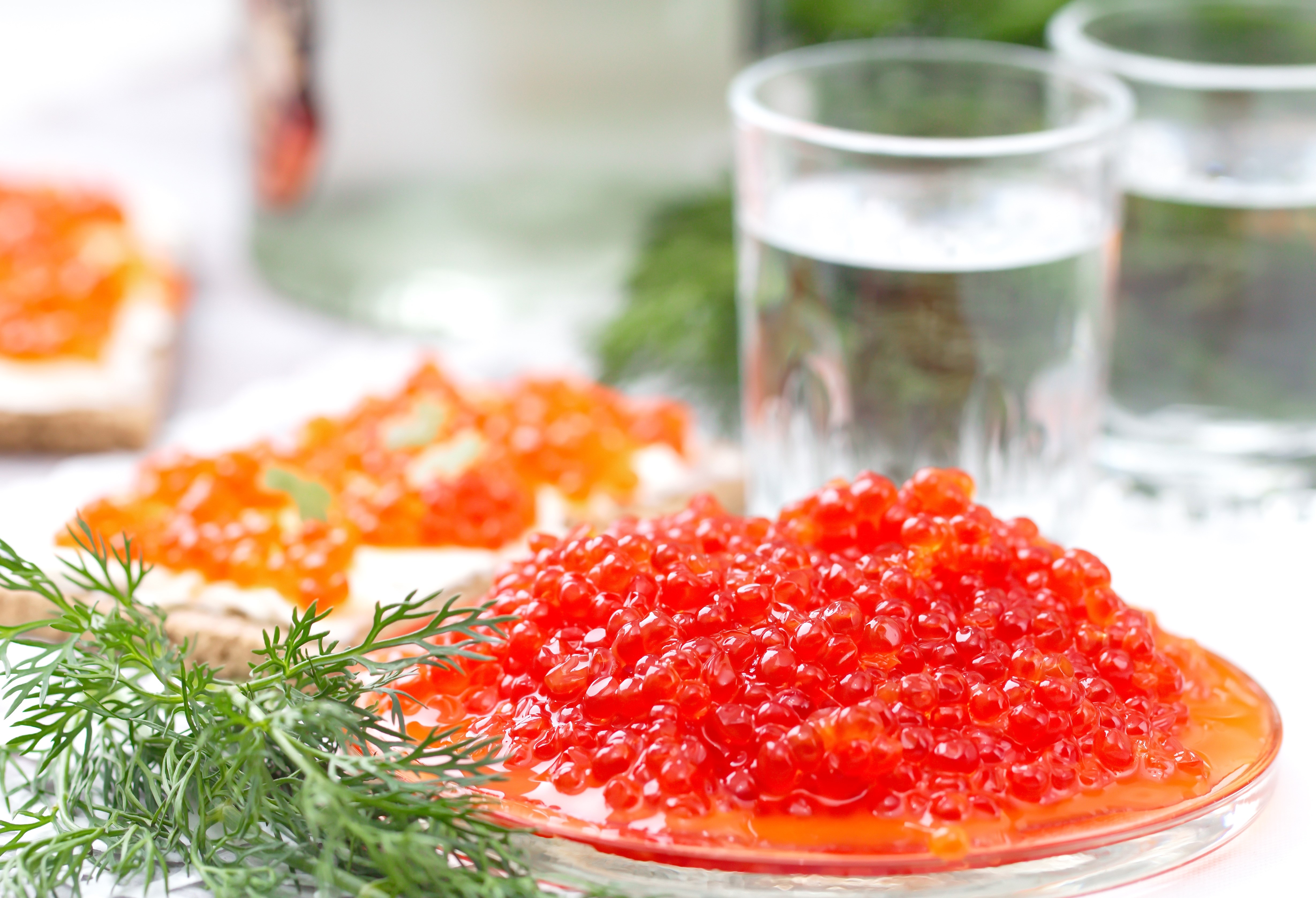 Red Caviar with Dill and Vodka Shots HD Wallpaper