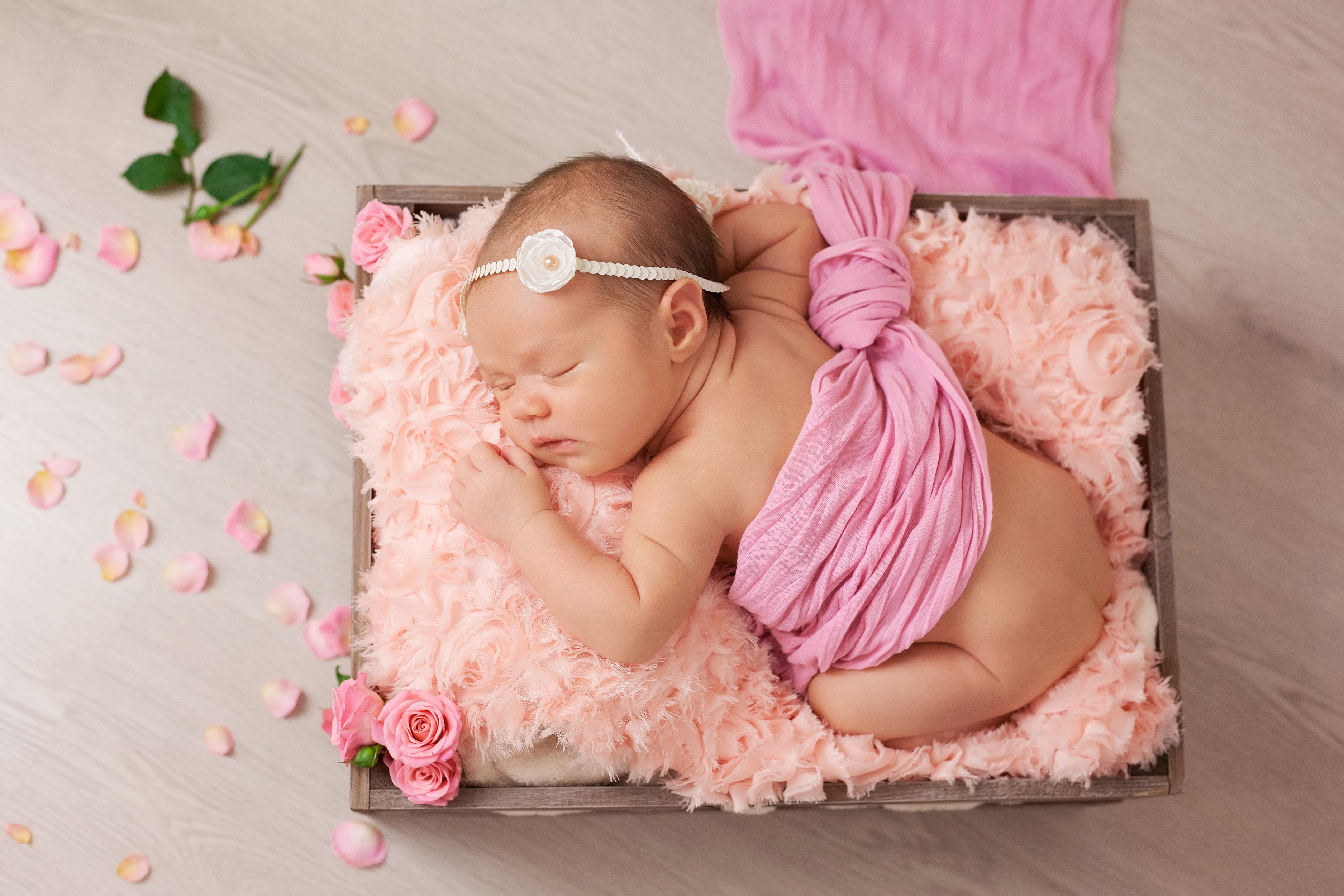 Newborn baby girl sleeping in a wooden crate with pink roses HD Wallpaper