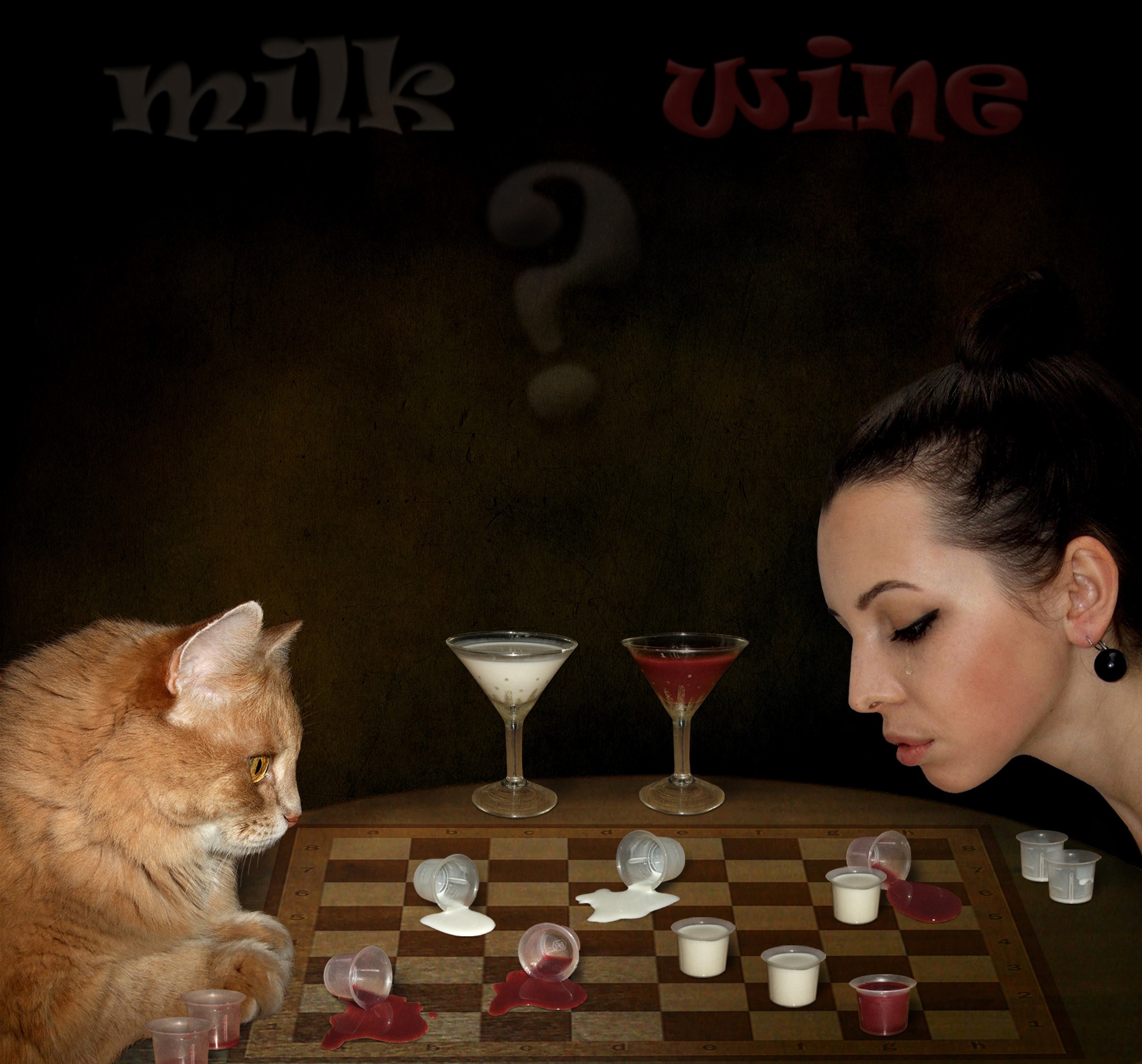 Cat and woman playing chess with milk and wine HD Wallpaper