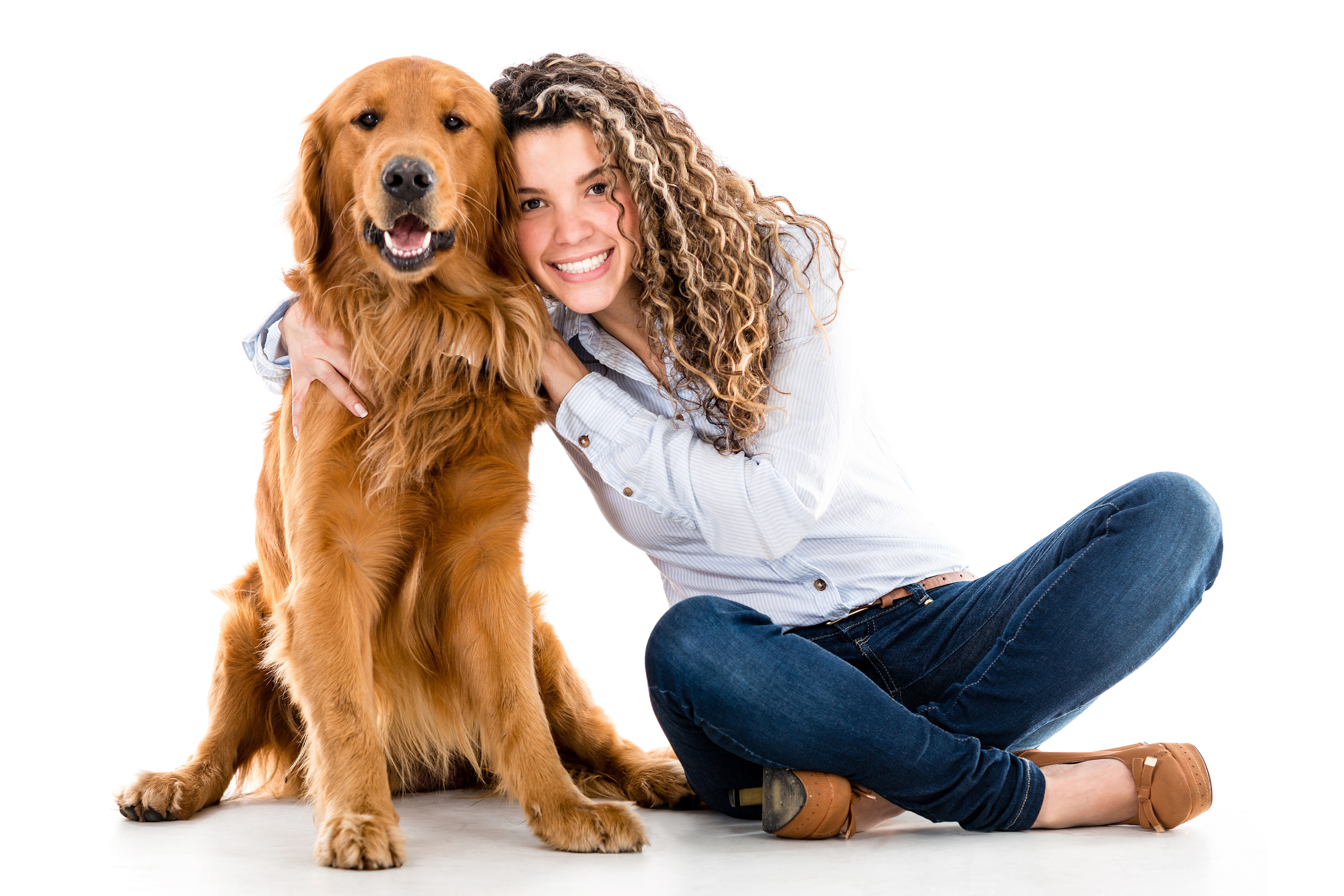 Woman hugging a Golden Retriever on white background HD Wallpaper