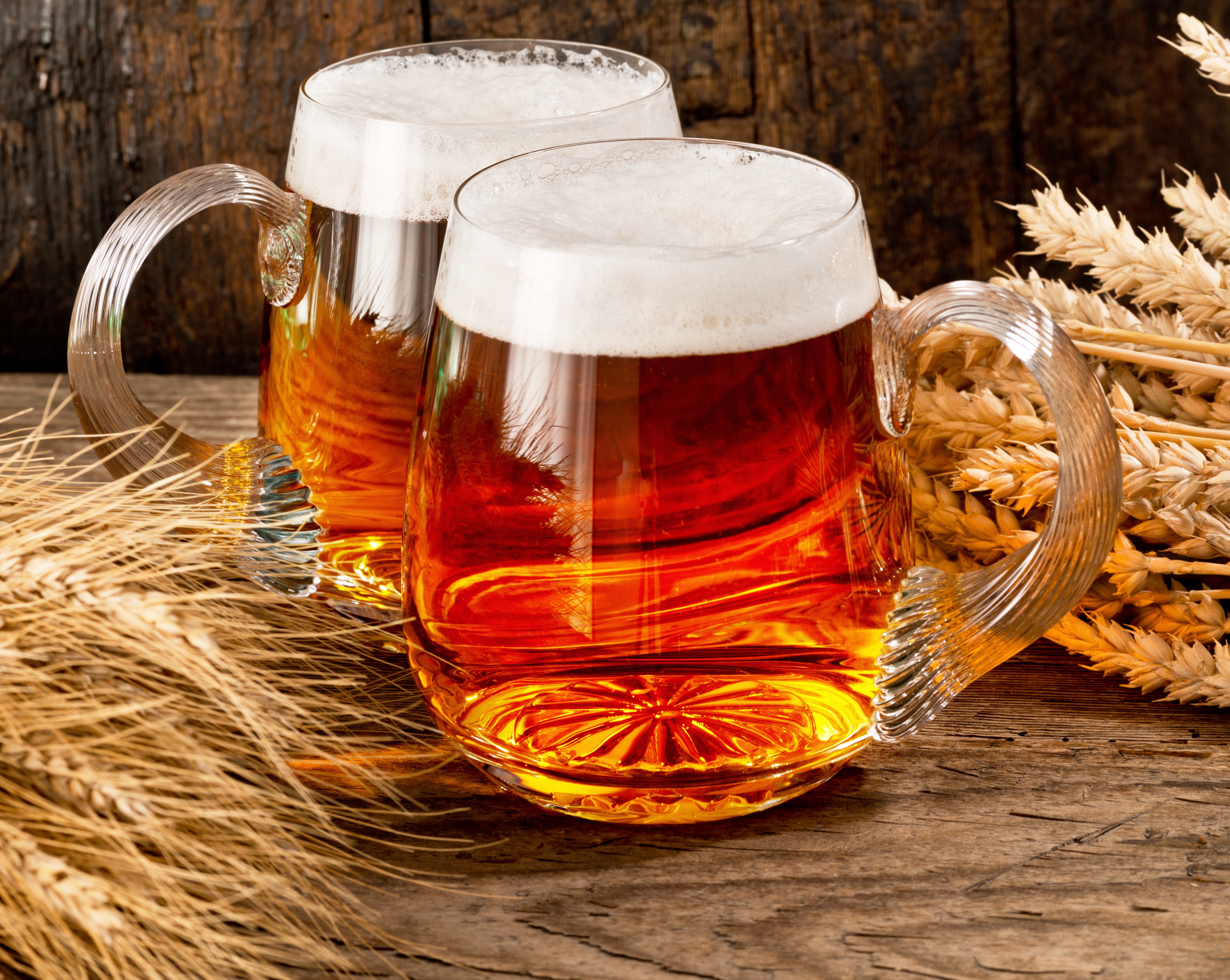 Two Mugs of Beer with Wheat HD Wallpaper