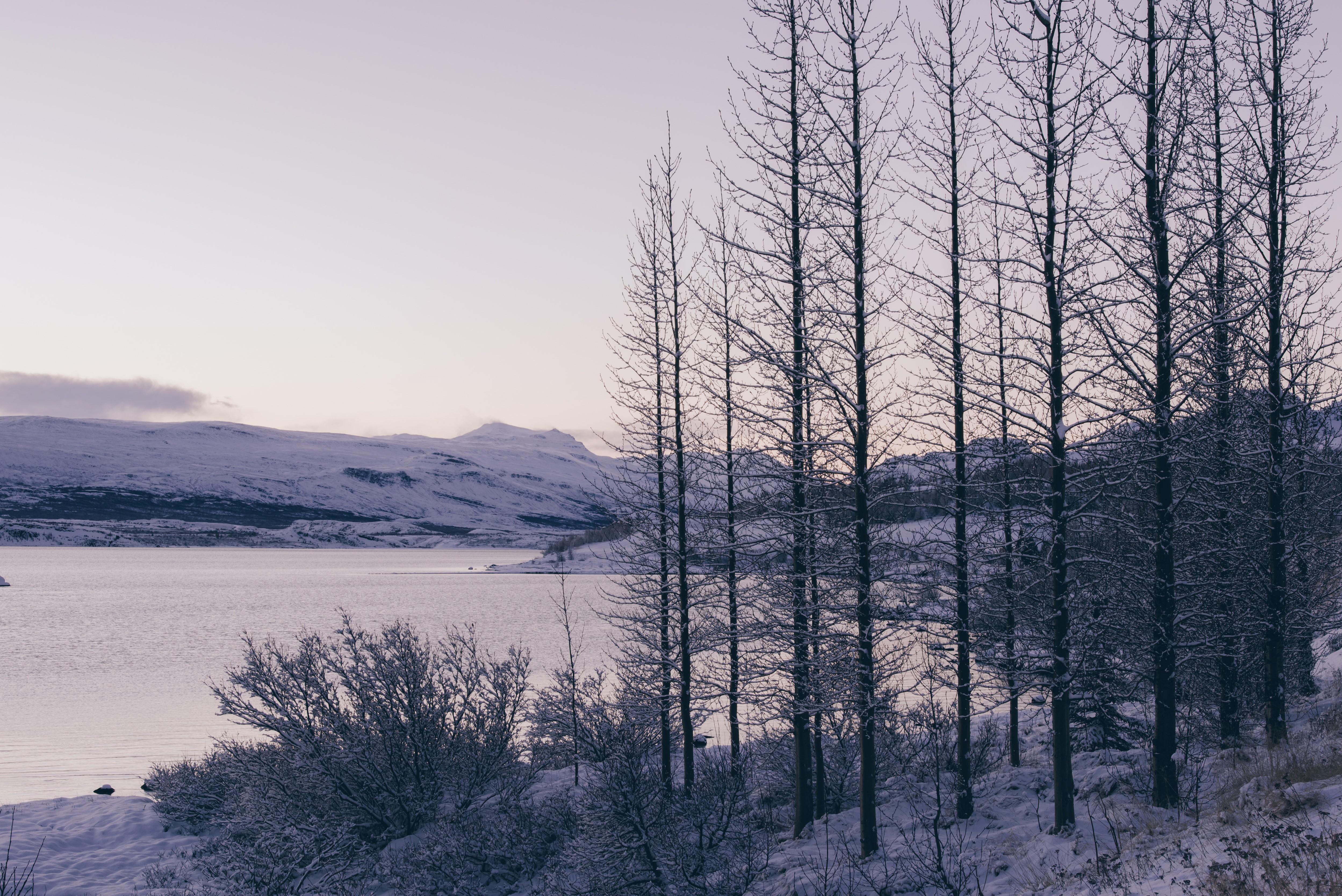 Winter landscape with snow-covered mountains and trees HD Wallpaper