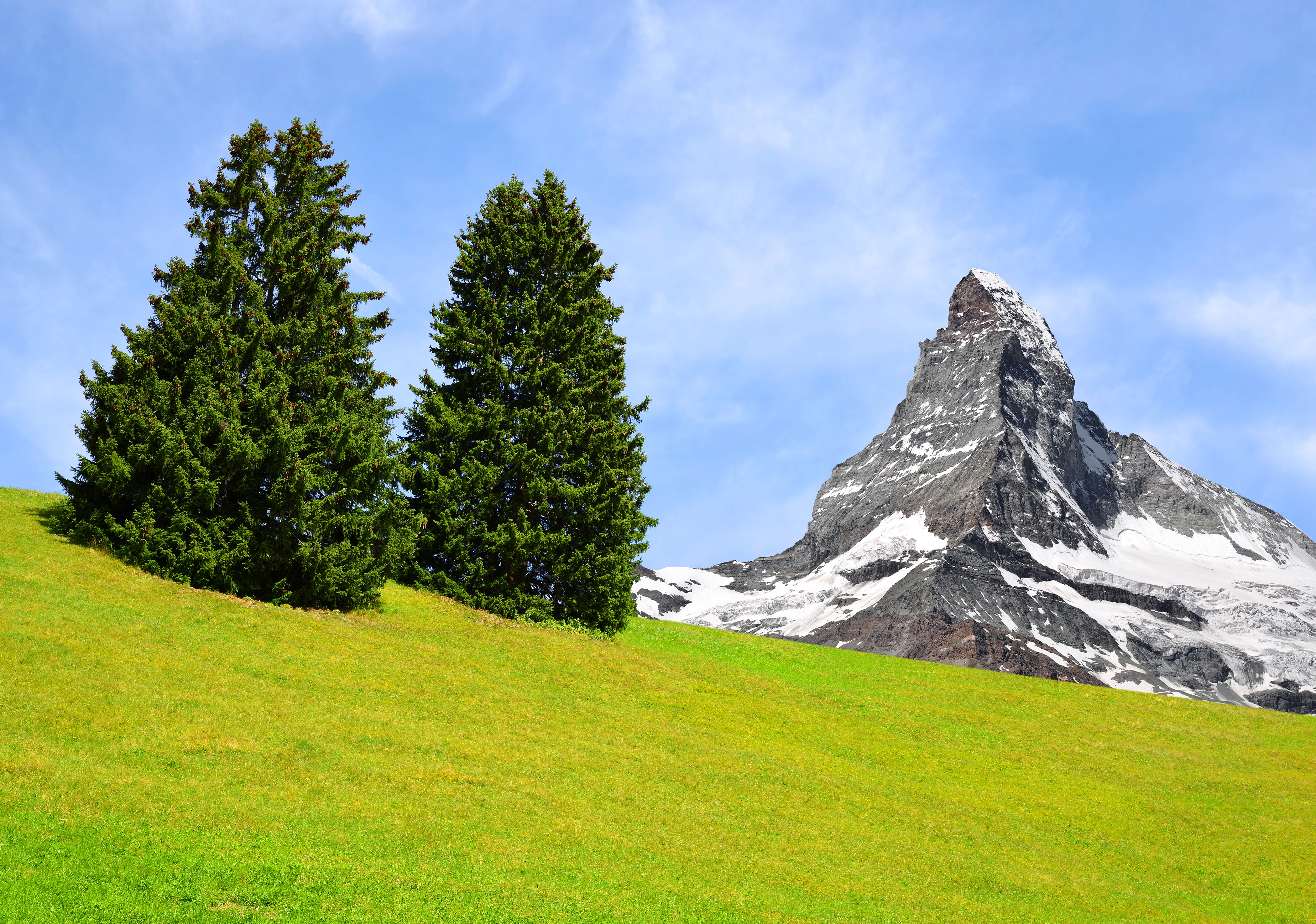 Two spruce trees on a grassy hill with the Matterhorn mountain in the background HD Wallpaper