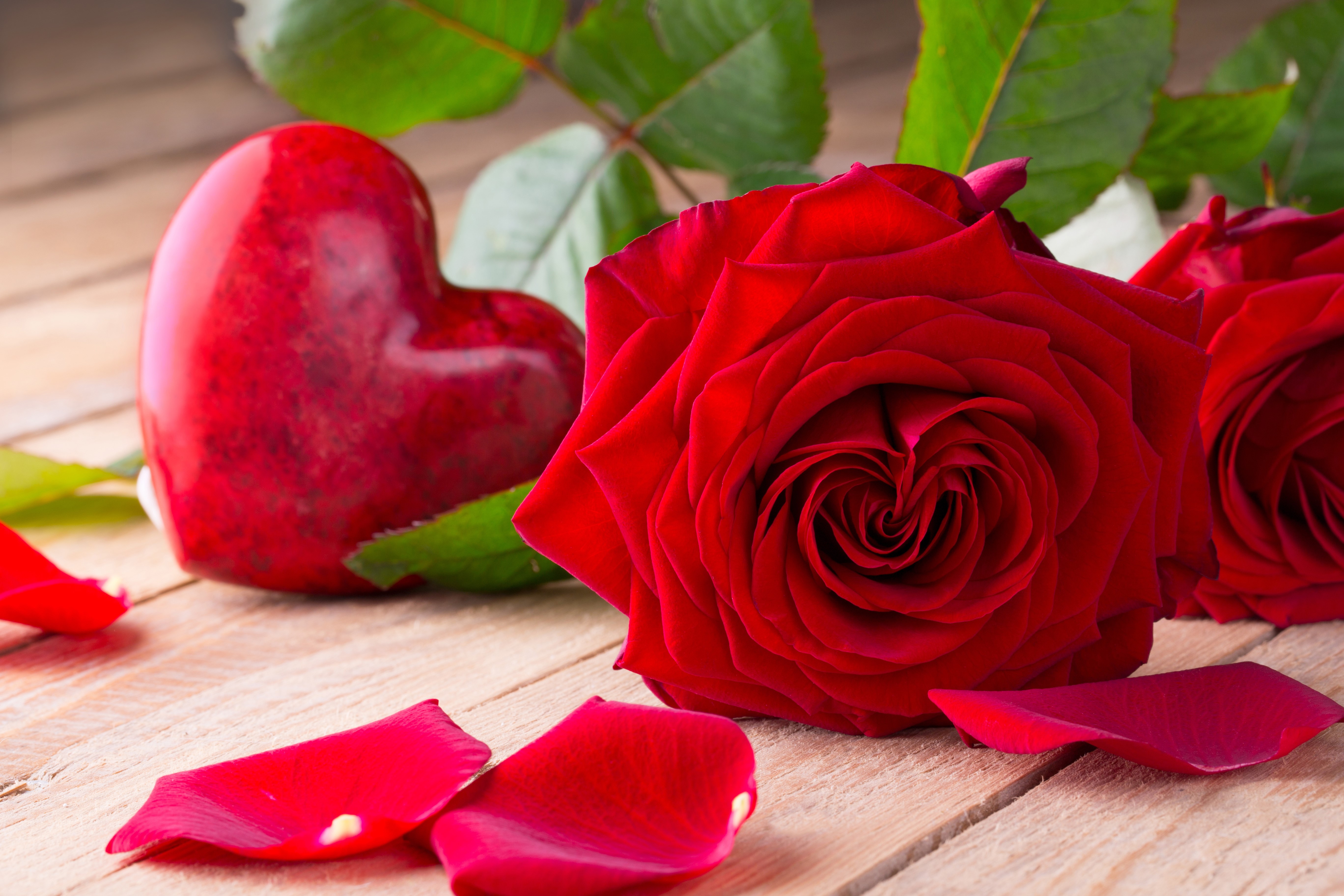 Red Roses and Heart on Wood Planks HD Wallpaper