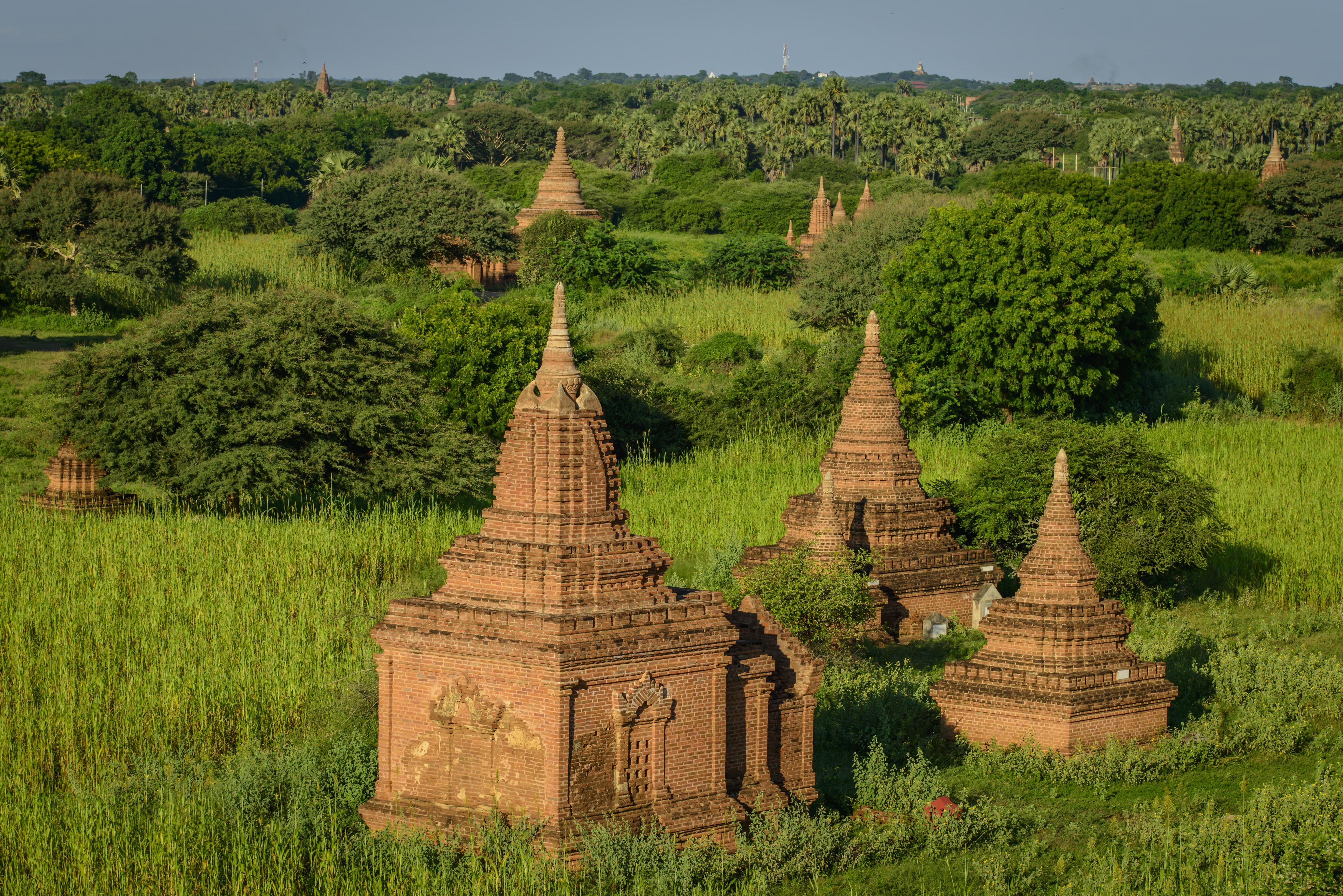 Temples in Bagan, Myanmar with Grass and Shrubs HD Wallpaper