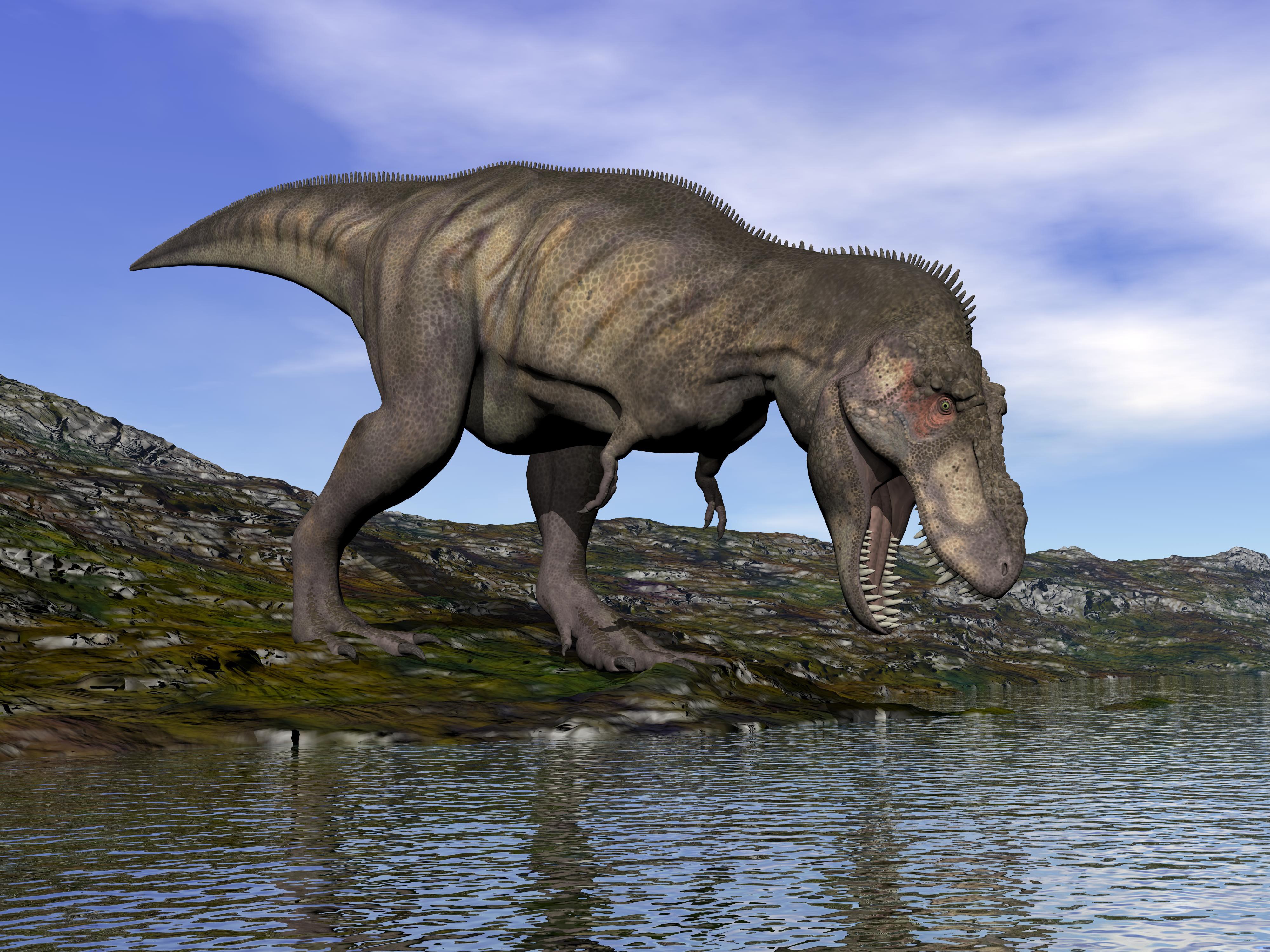 Tyrannosaurus Rex by the Water HD Wallpaper