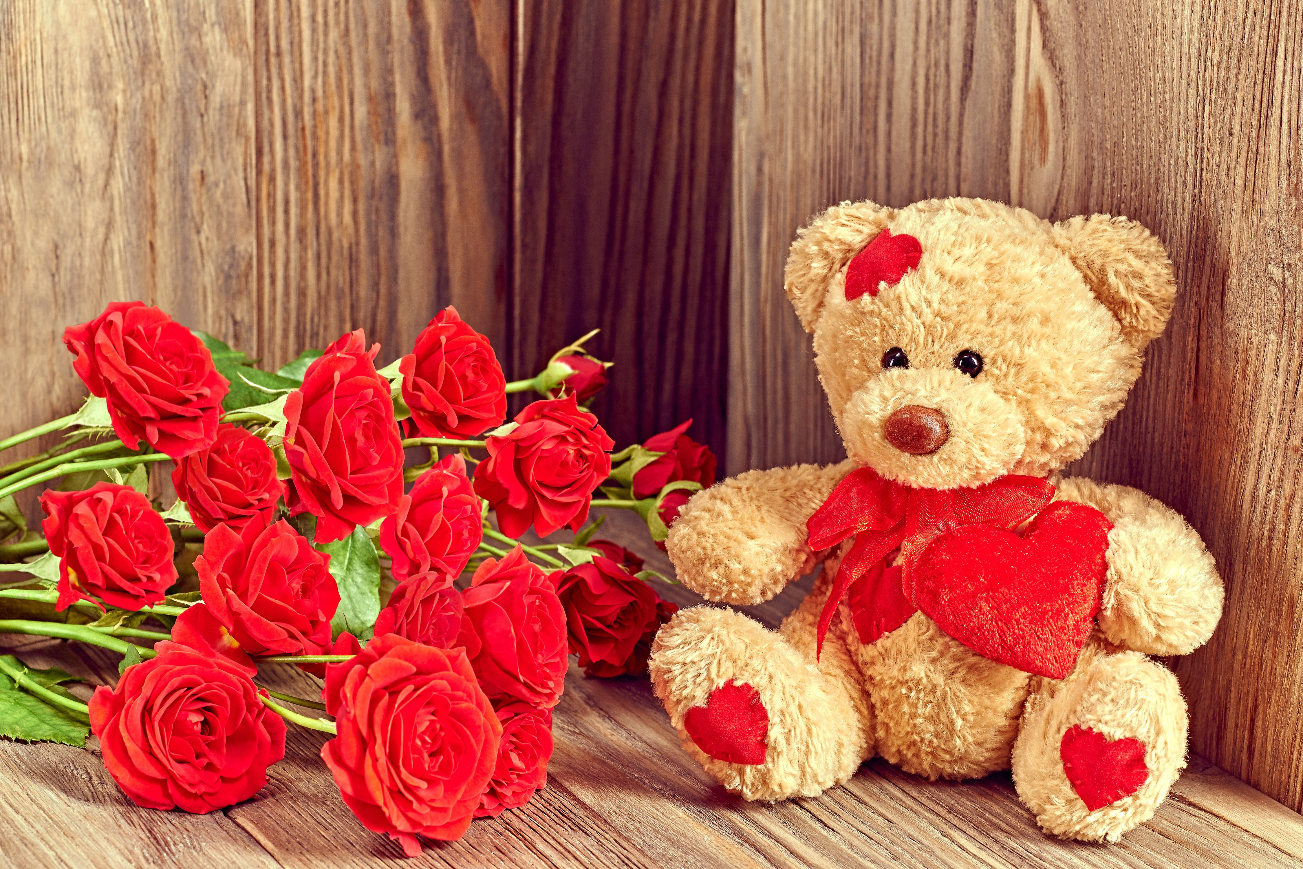Valentine's Day Teddy Bear with Red Roses on Wood HD Wallpaper