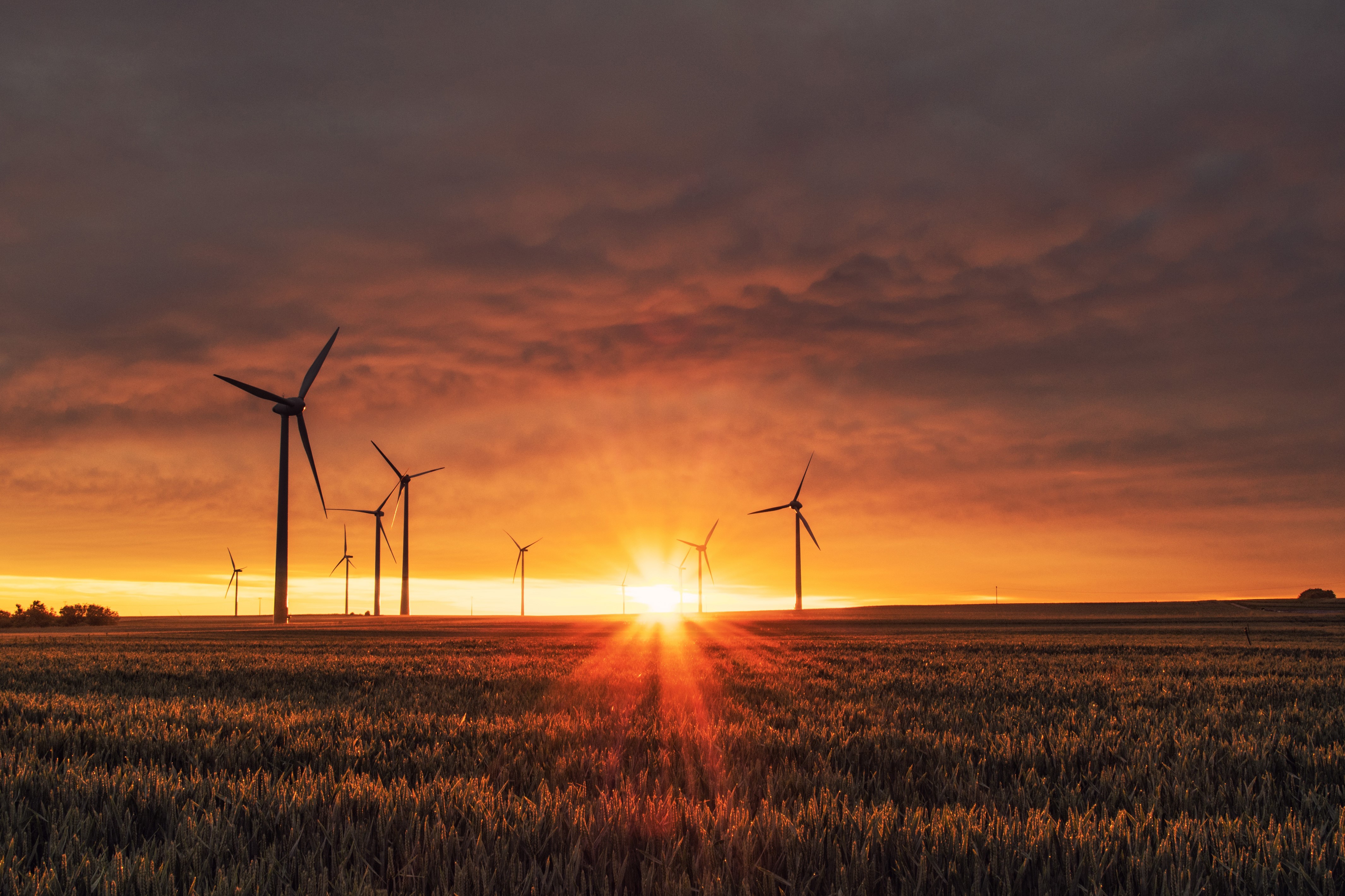 Wind turbines in a field at sunset HD Wallpaper