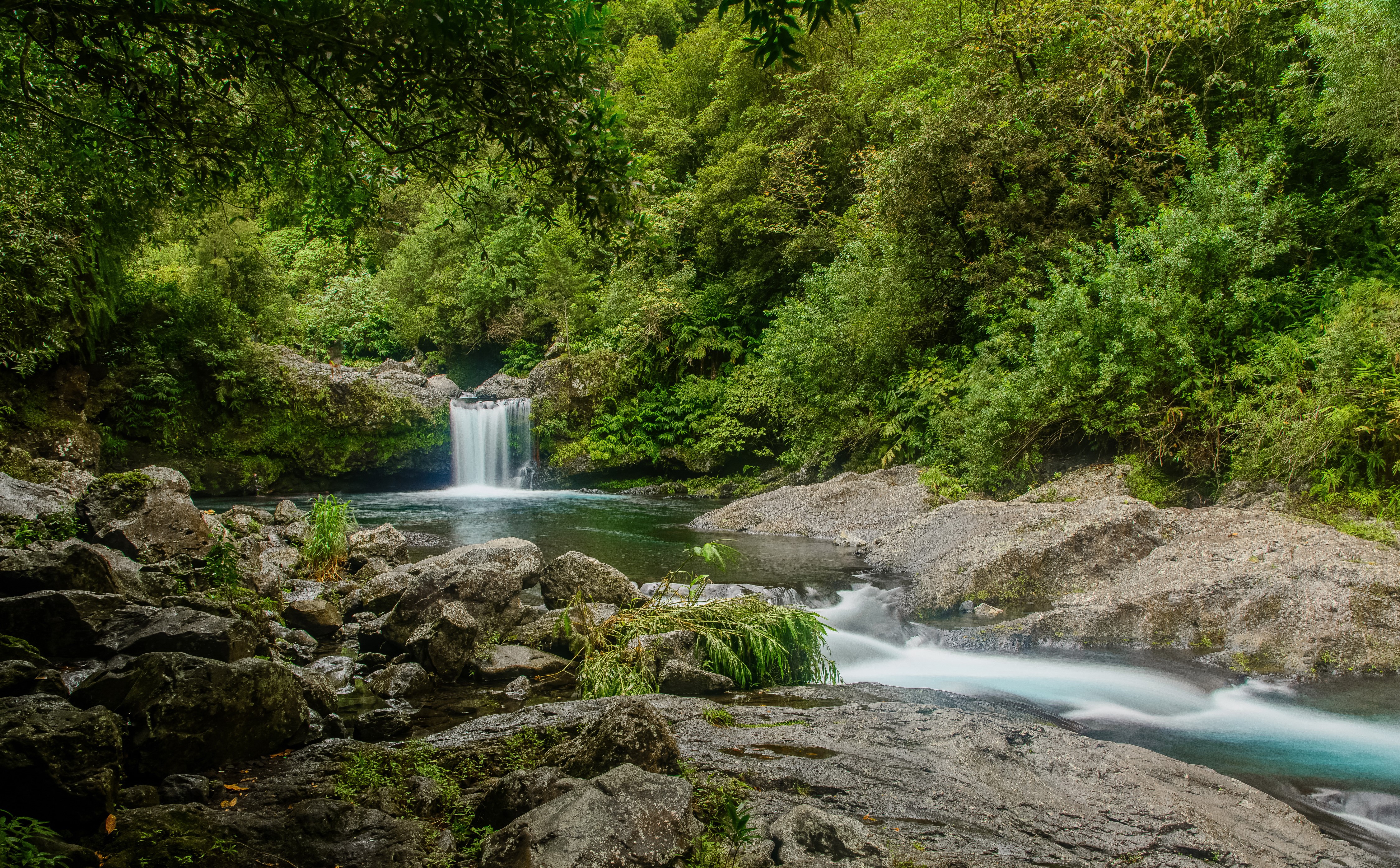 Waterfall in Reunion, France HD Wallpaper