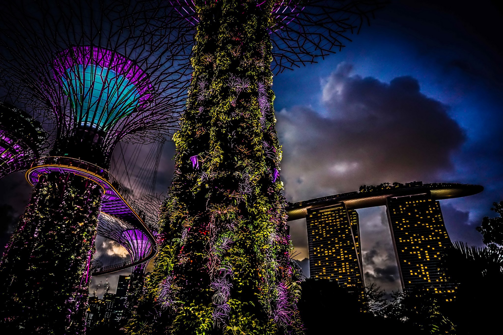 Gardens by the Bay at Night, Singapore HD Wallpaper