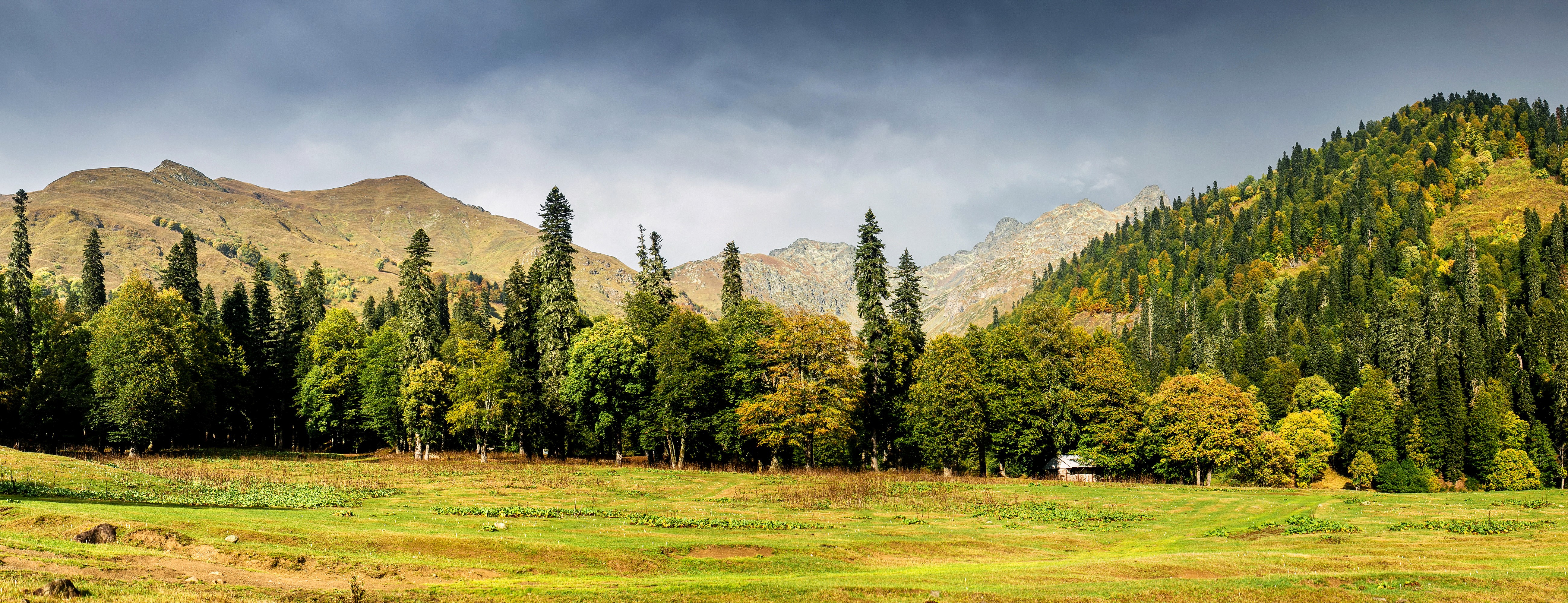 Mountains and forest in Abkhazia Caucasus HD Wallpaper