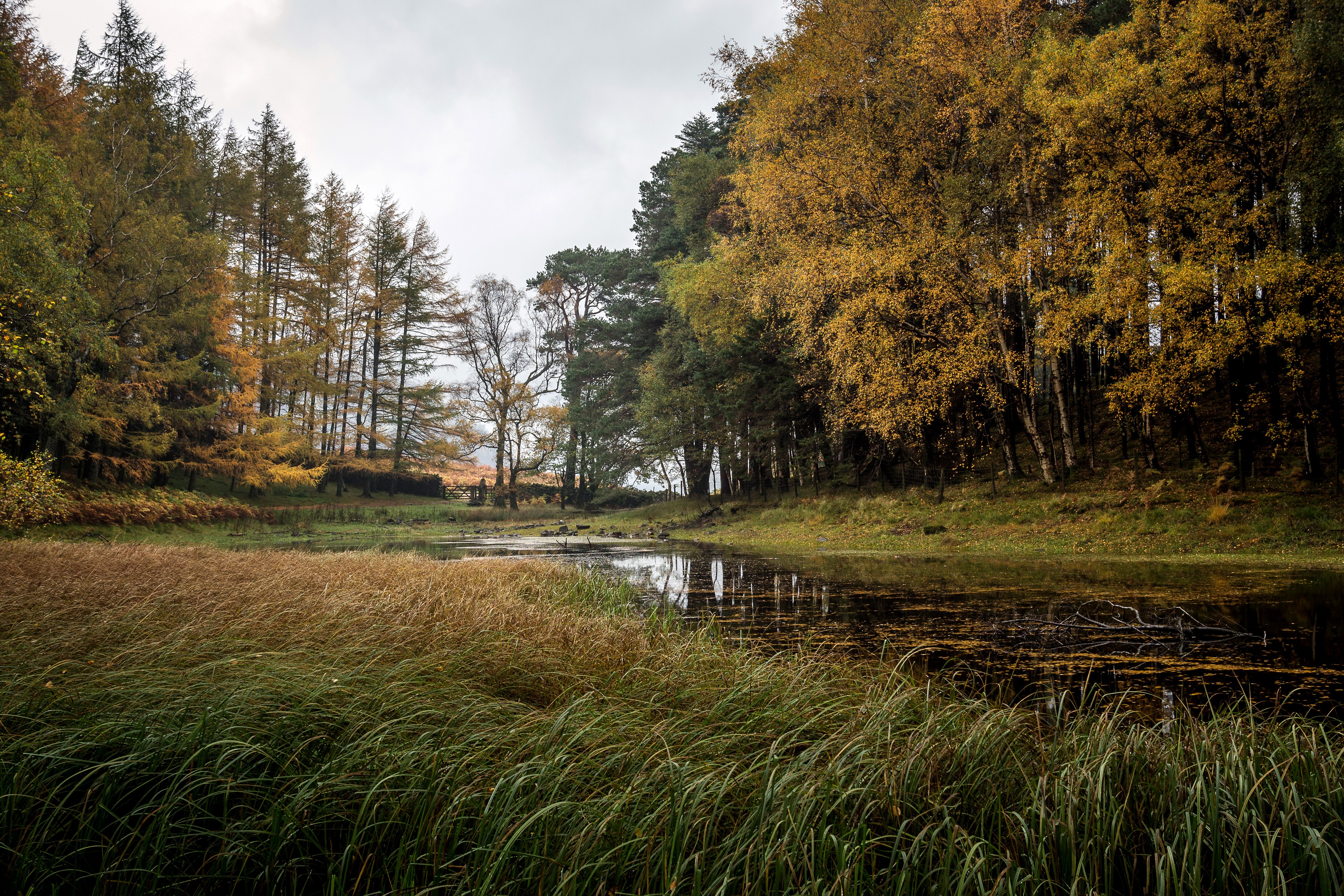Autumn lake and trees in Glenridding, United Kingdom HD Wallpaper
