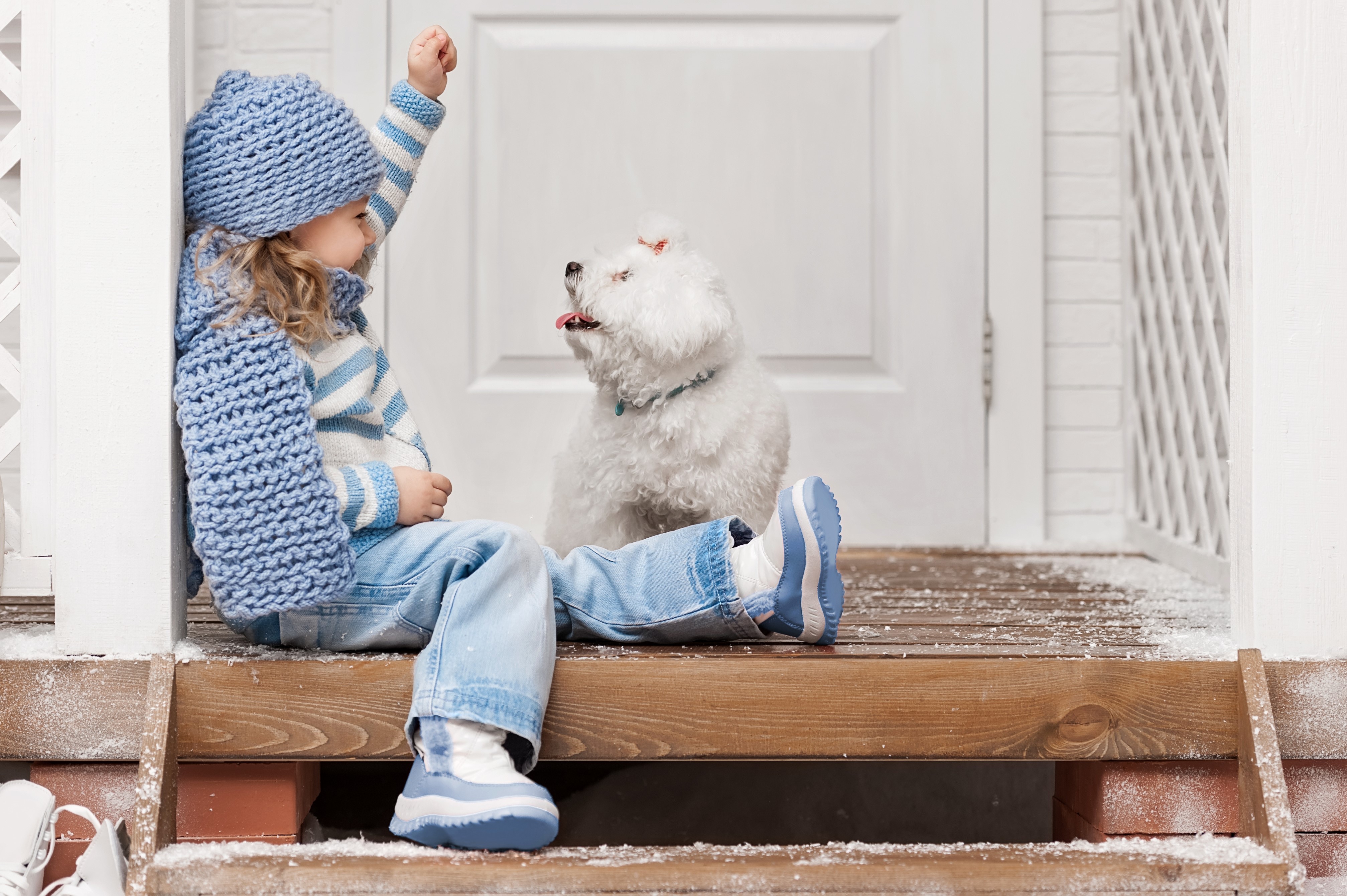 Little girl and Bolognese dog in winter HD Wallpaper