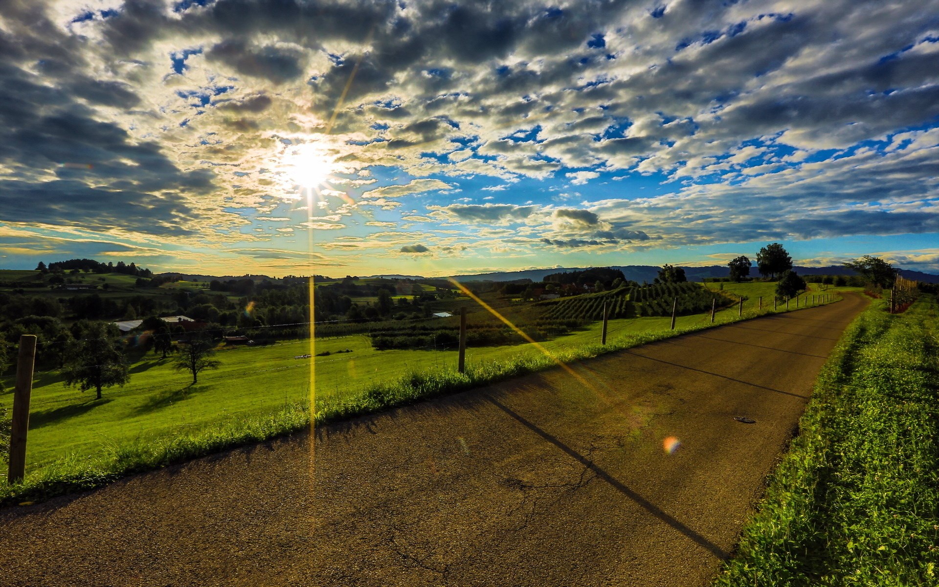 Road through rolling hills and vineyards at sunset HD Wallpaper
