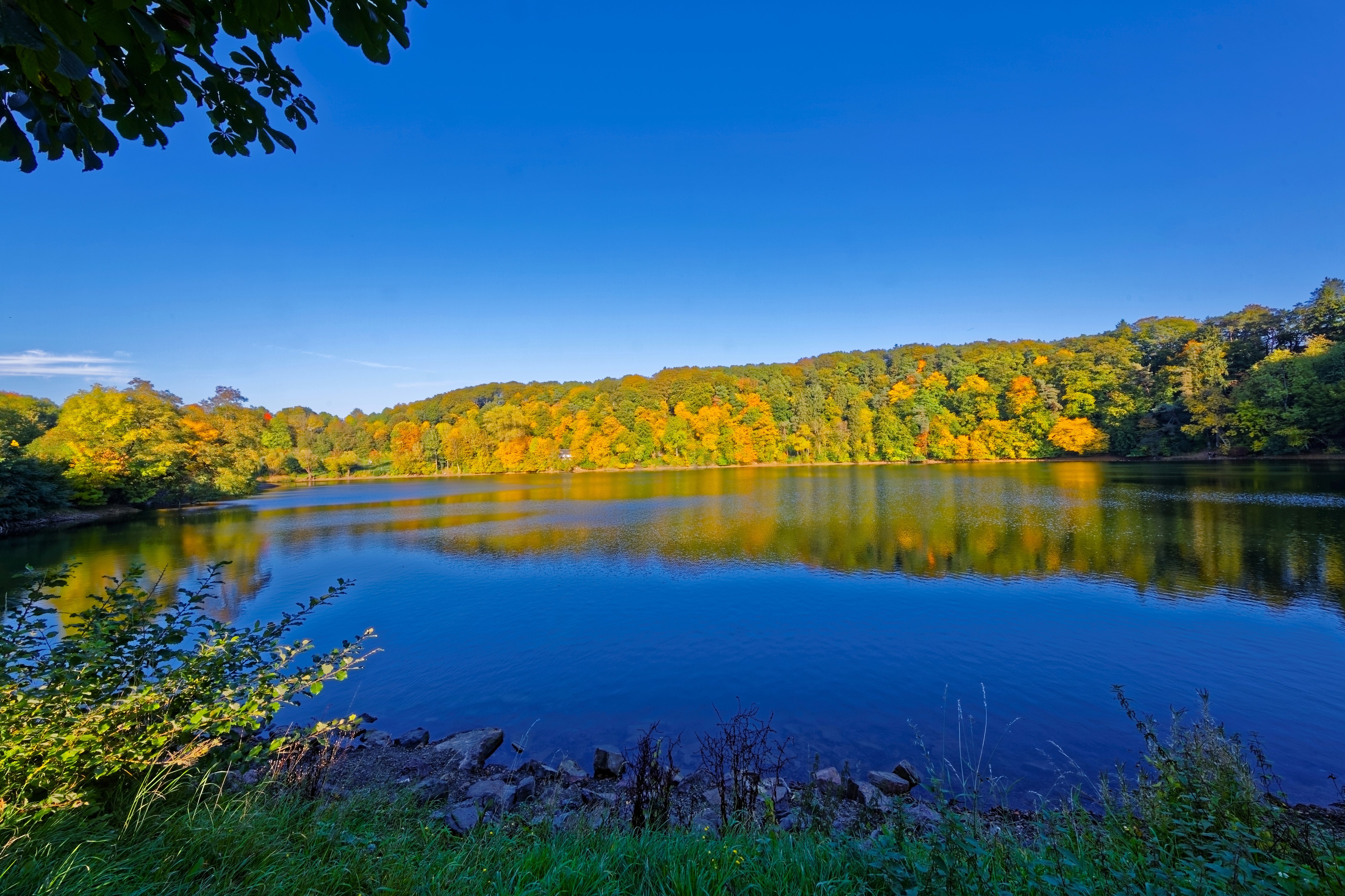 Autumn forest reflected in a lake in Ulmen, Germany HD Wallpaper