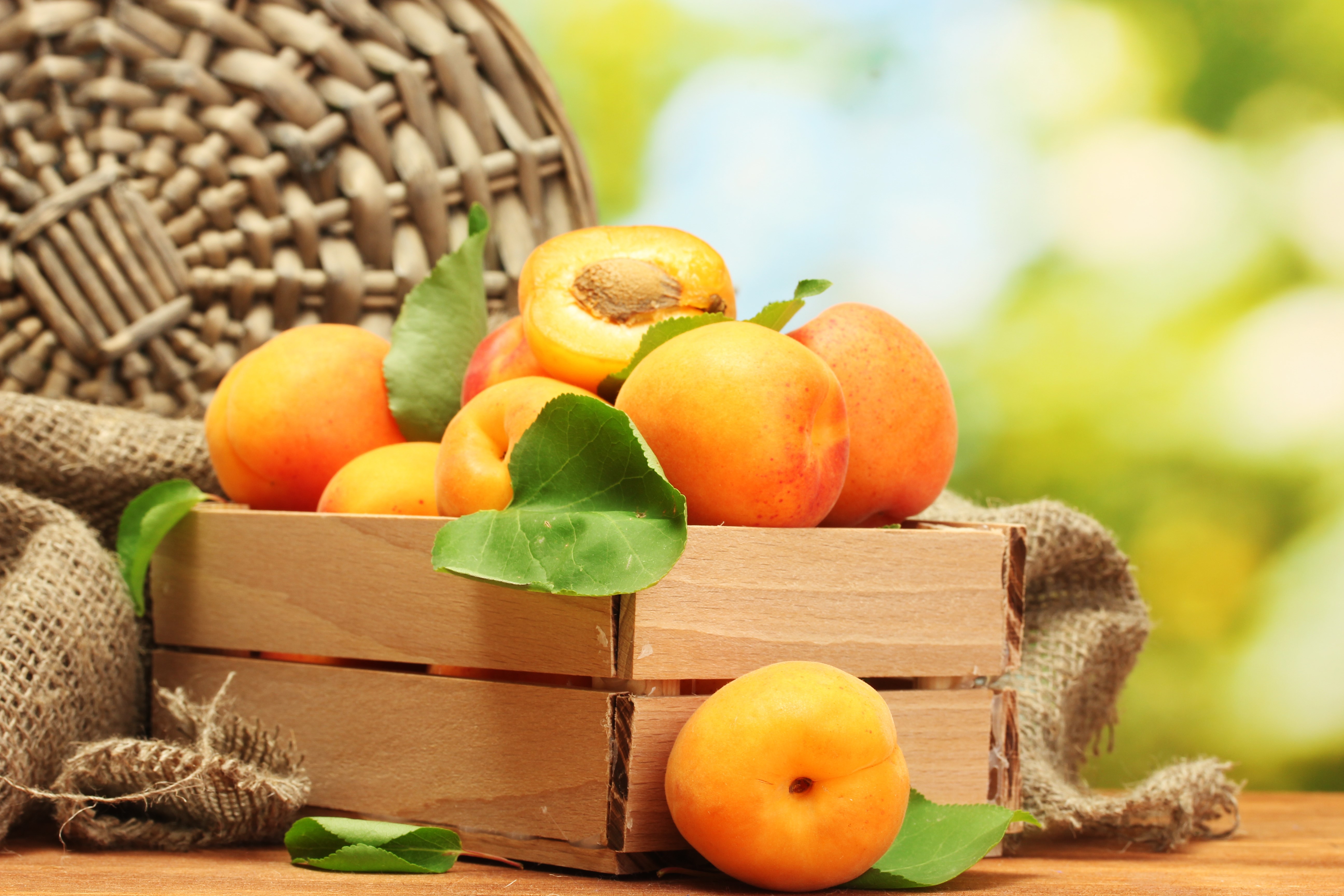 Apricots in a wooden crate HD Wallpaper
