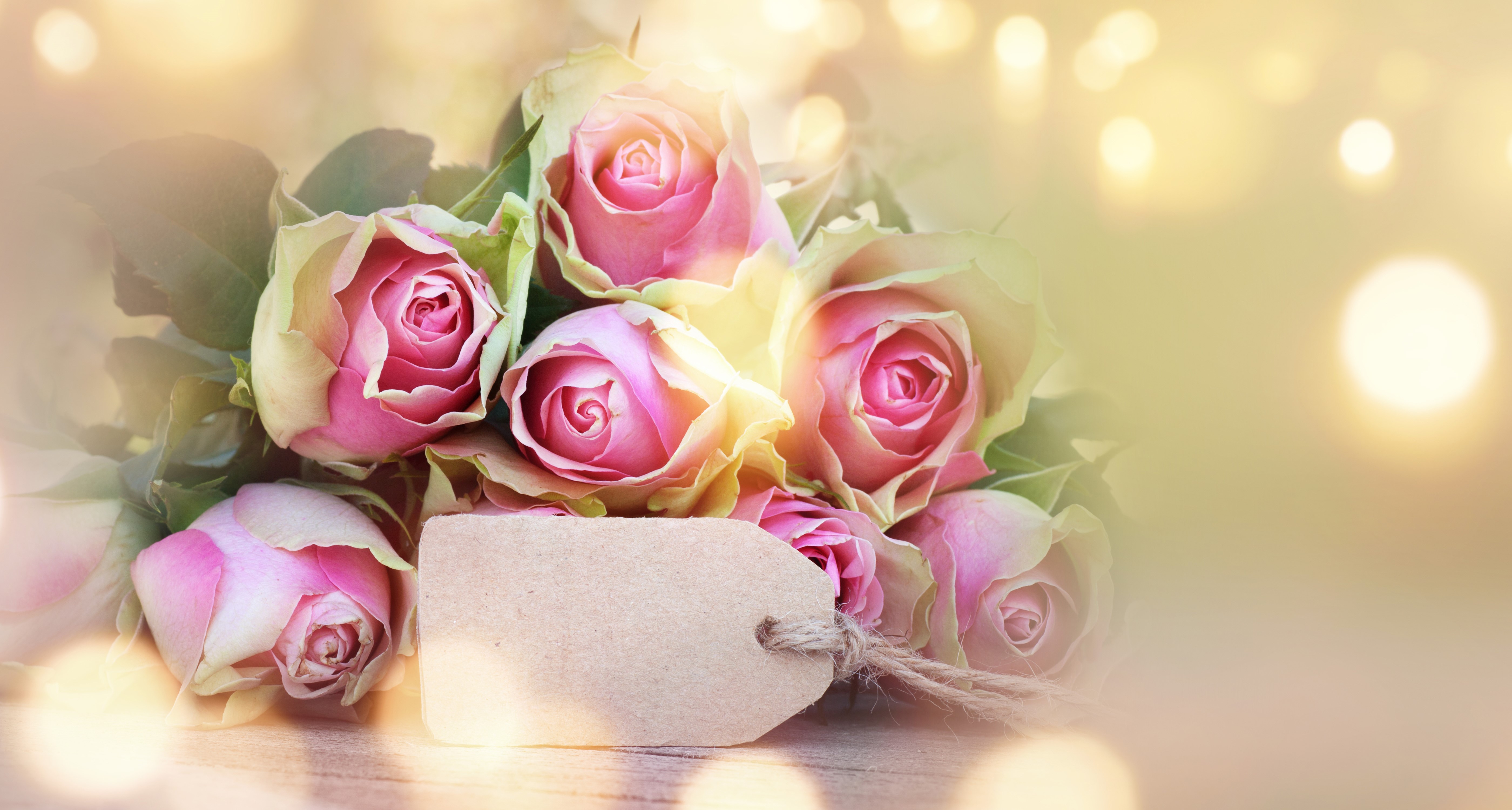 Pink Roses with Blank Tag and Bokeh Lights HD Wallpaper