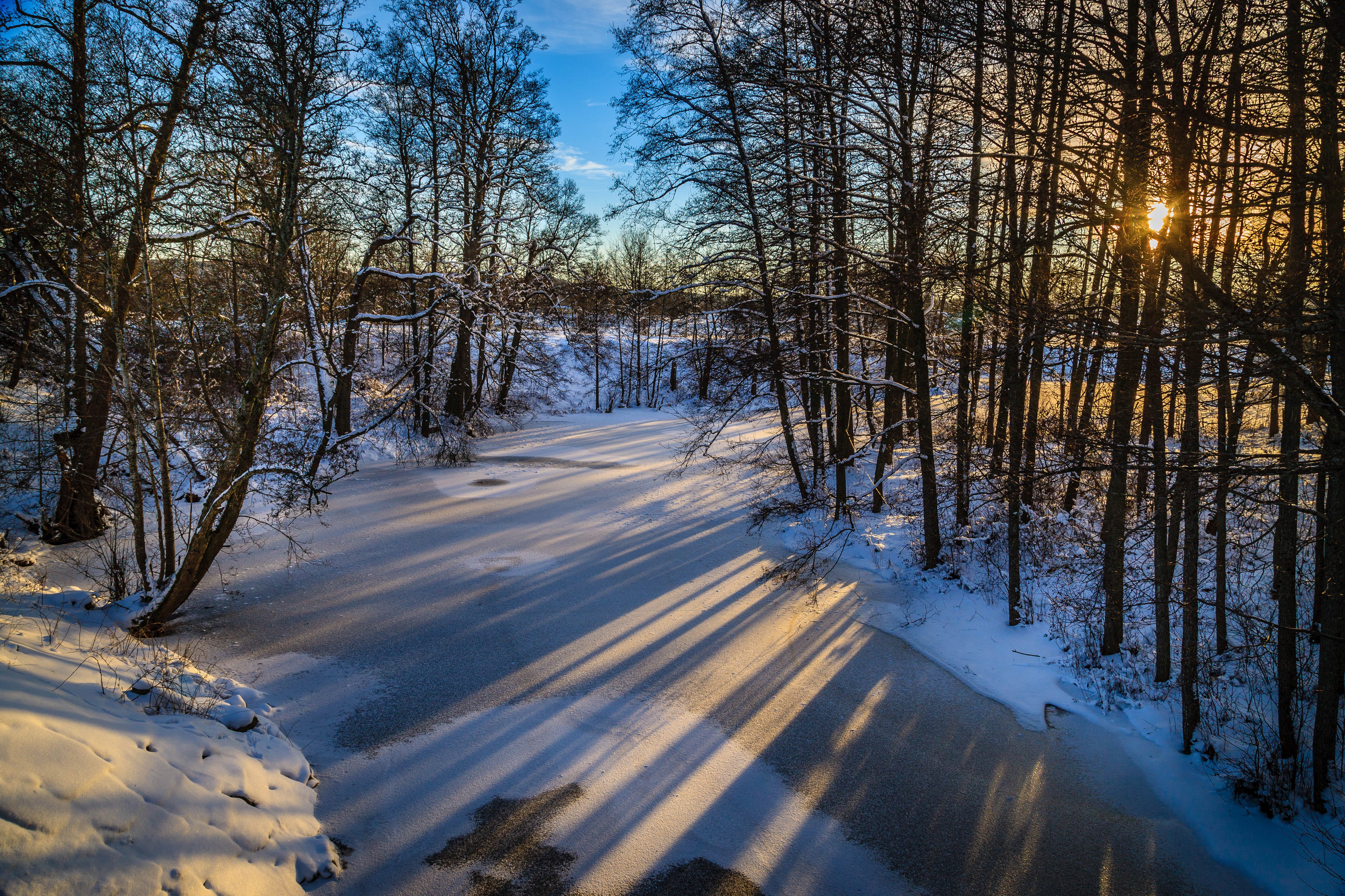 Winter forest with frozen river and sunbeams HD Wallpaper