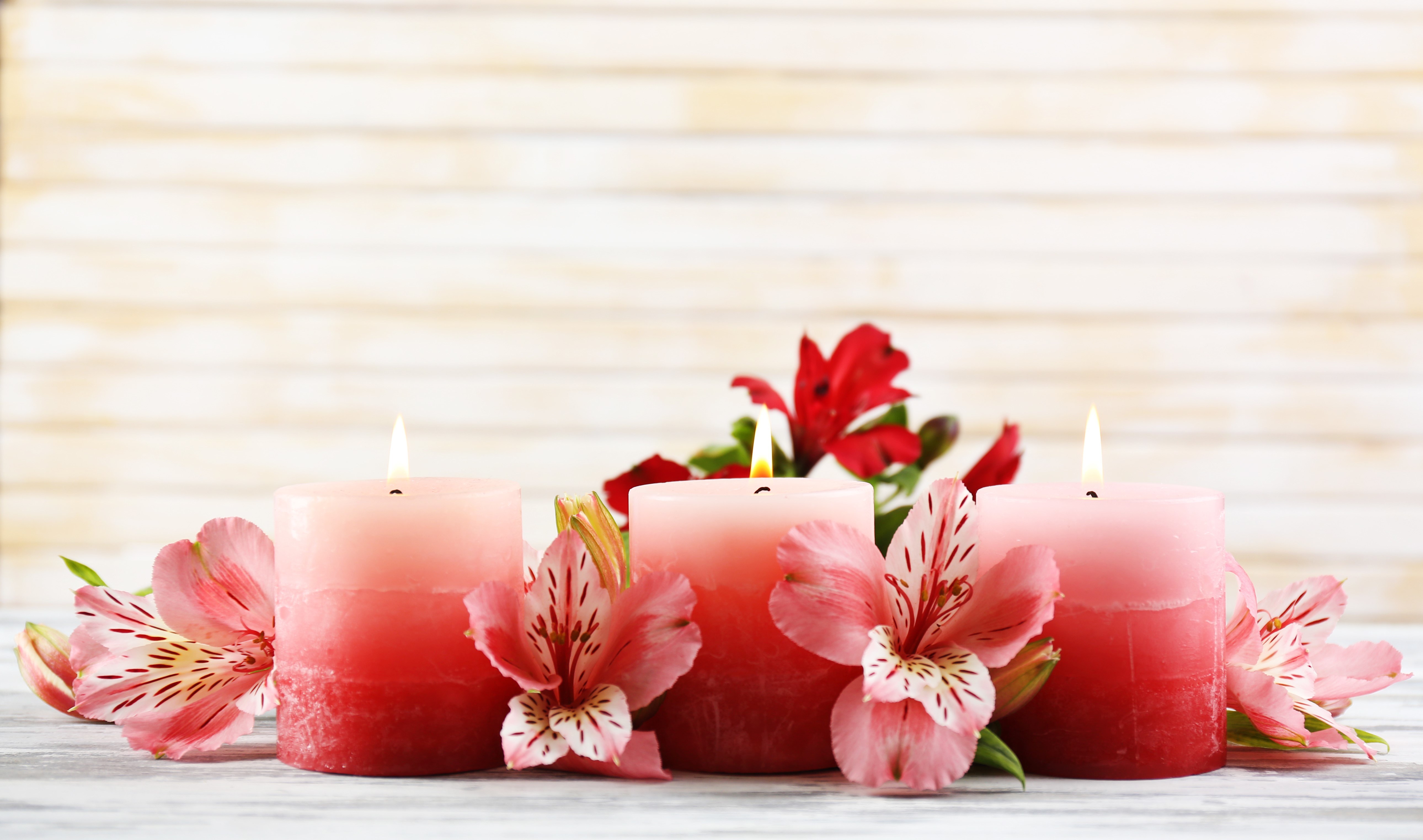 Candles and Alstroemeria flowers HD Wallpaper
