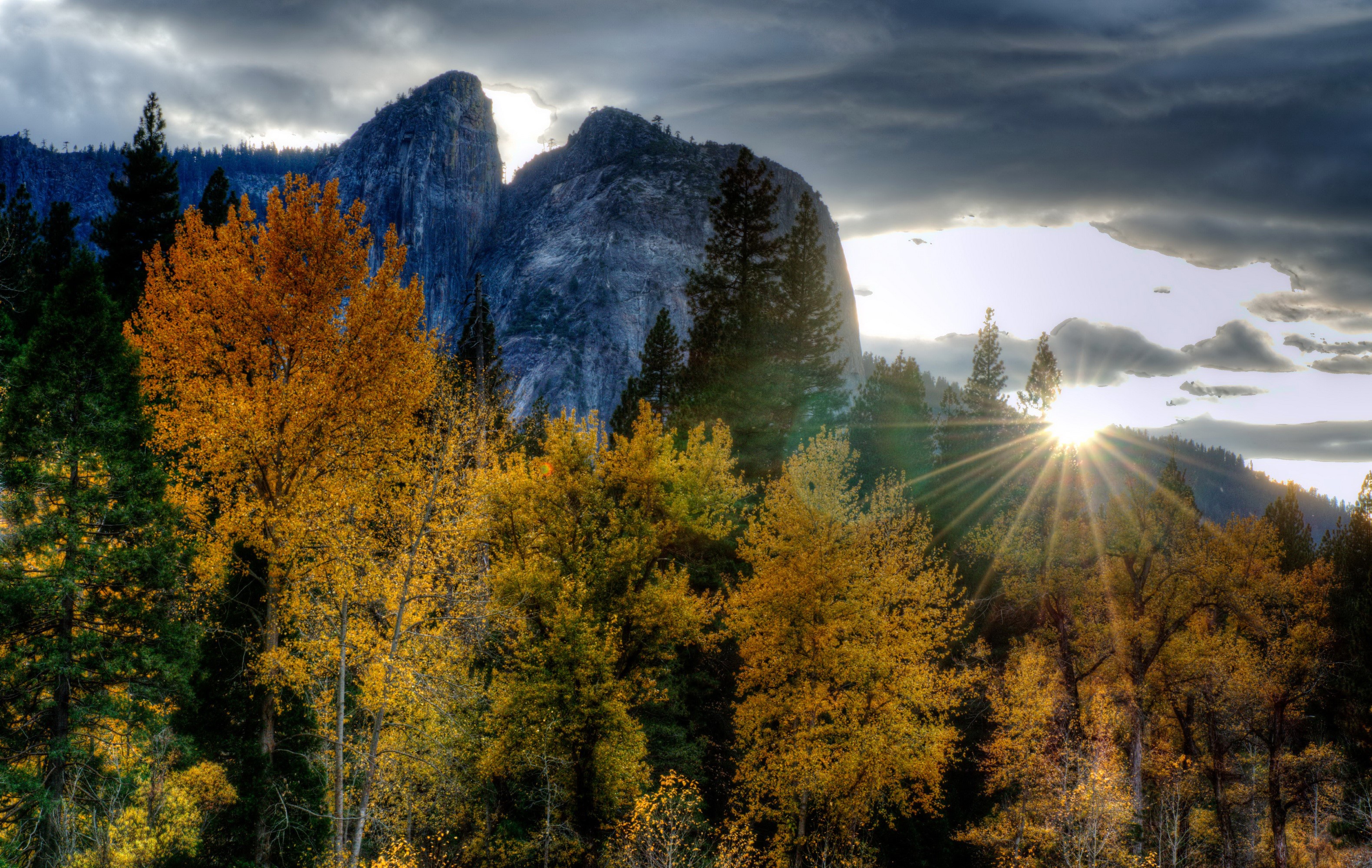 Autumn trees in Yosemite National Park with sun rays HD Wallpaper