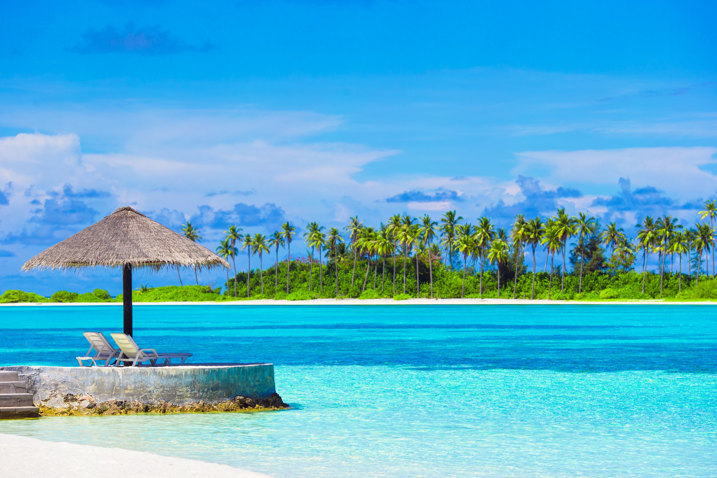 Tropical beach with palm trees and lounge chairs under umbrella HD Wallpaper