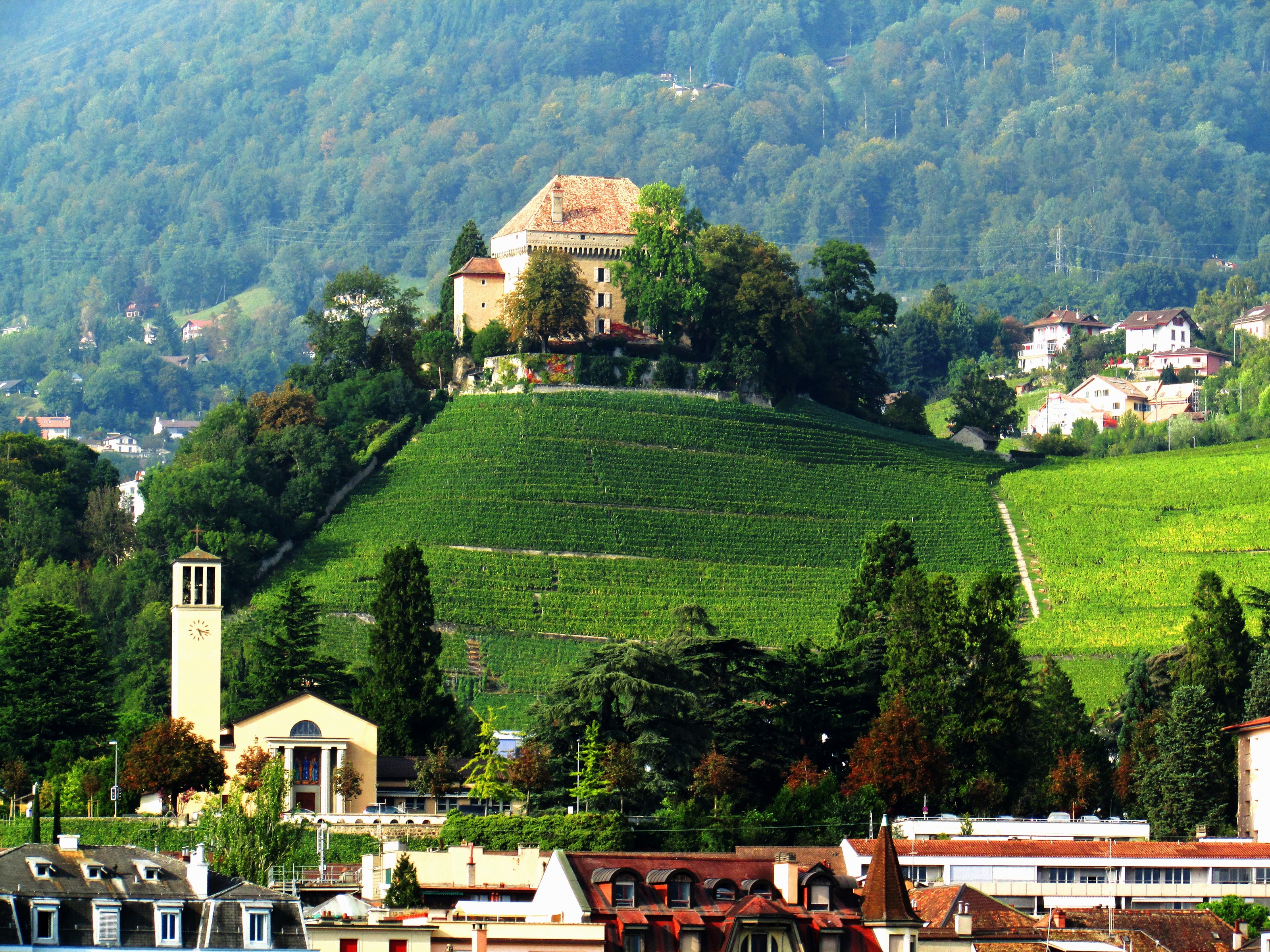 Chateau de Glérolles and vineyards in Montreux, Switzerland HD Wallpaper