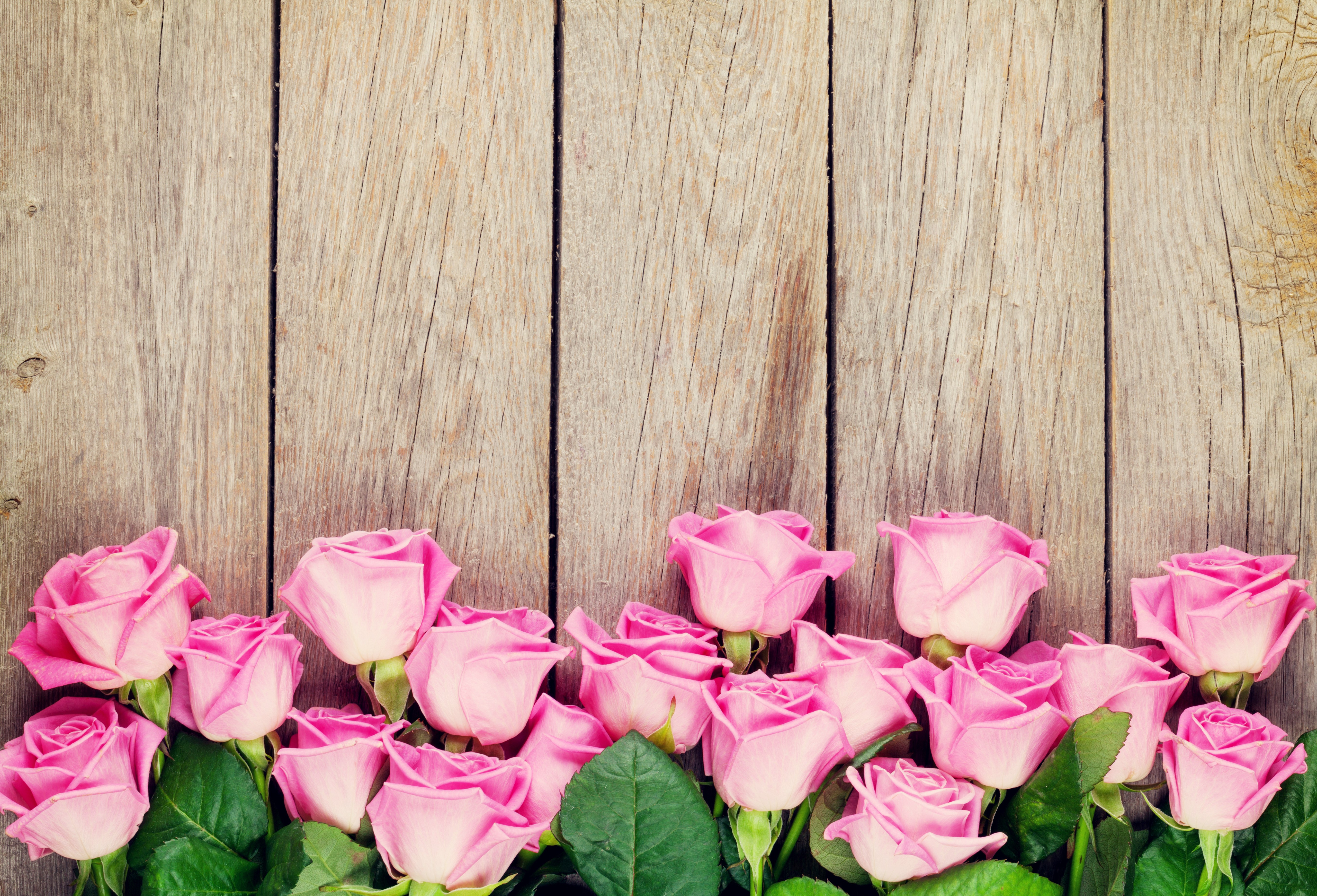 Pink Roses on Wood Planks HD Wallpaper