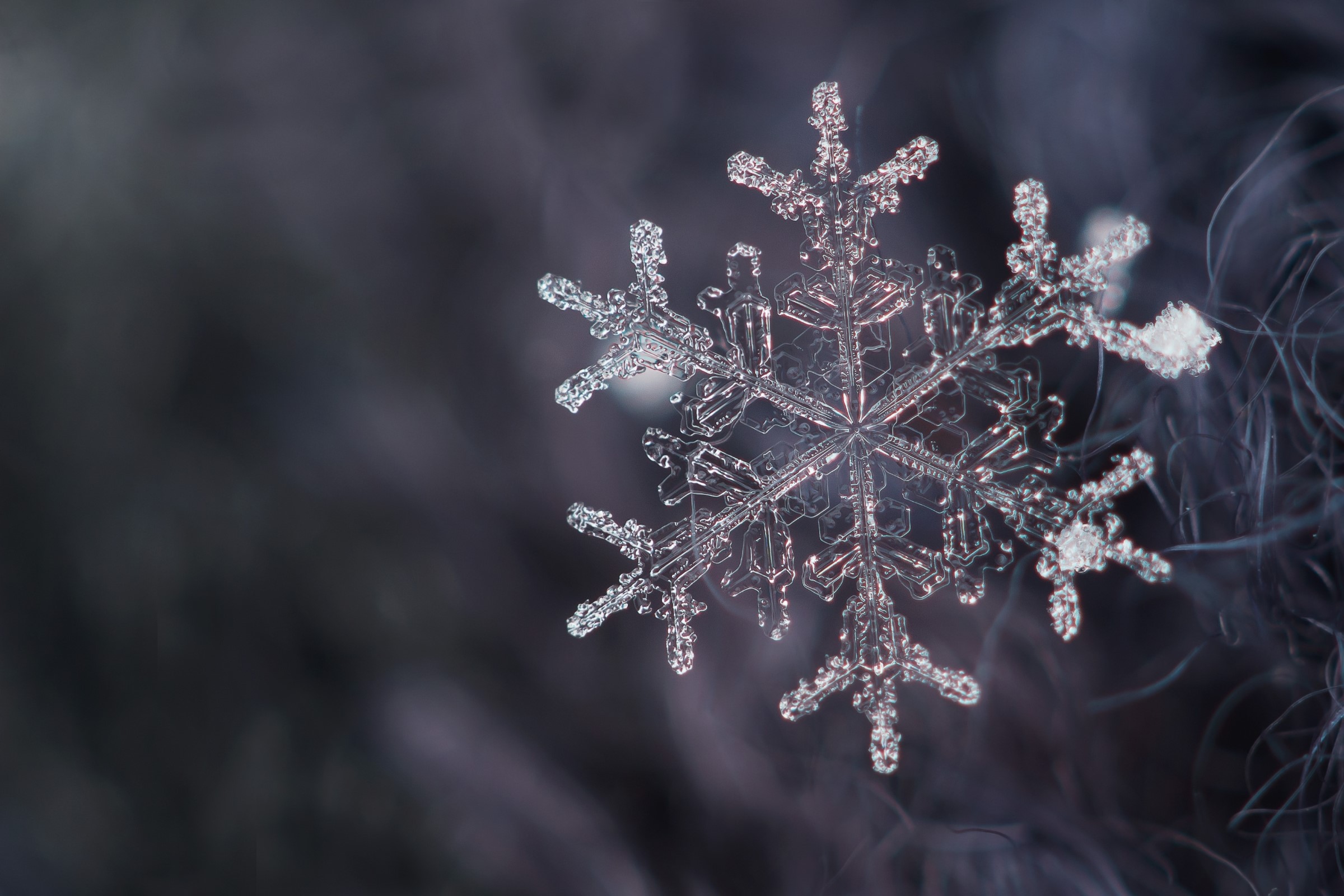 Macro view of a delicate snowflake HD Wallpaper